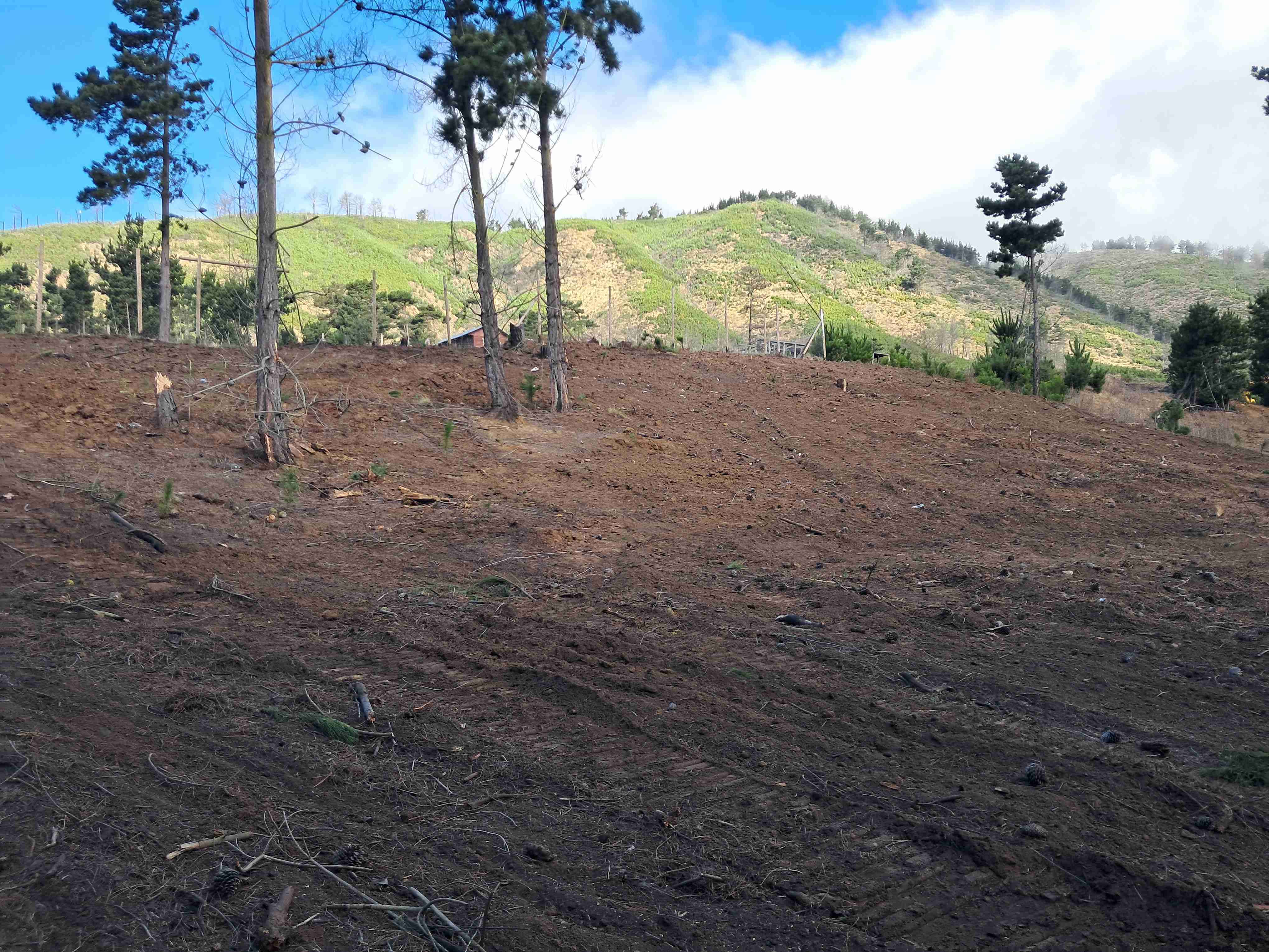 Laguna verde" ROL PROPIO - miniatura 6