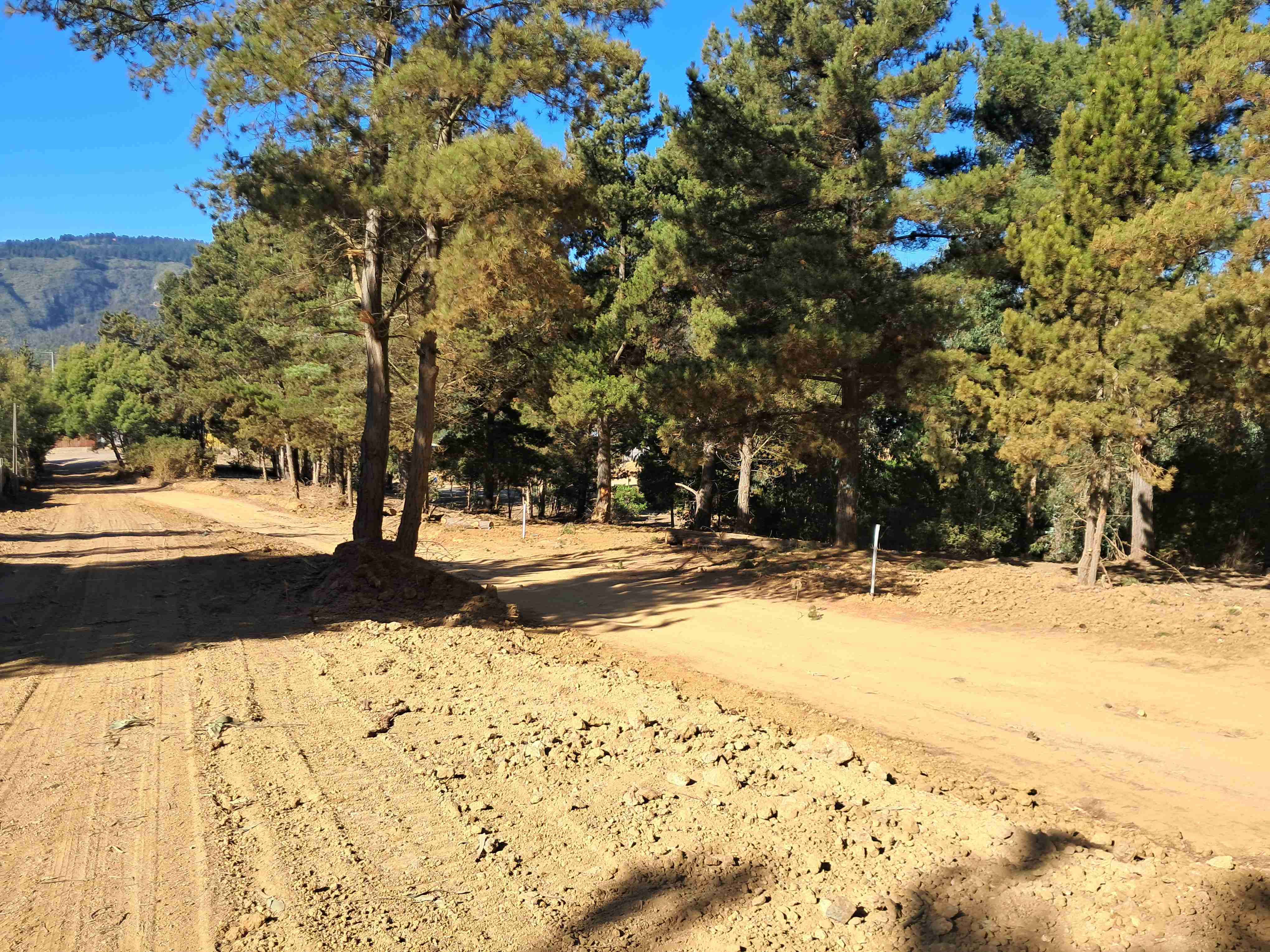 LAGUNA VERDE "OPORTUNIDAD" - miniatura 2