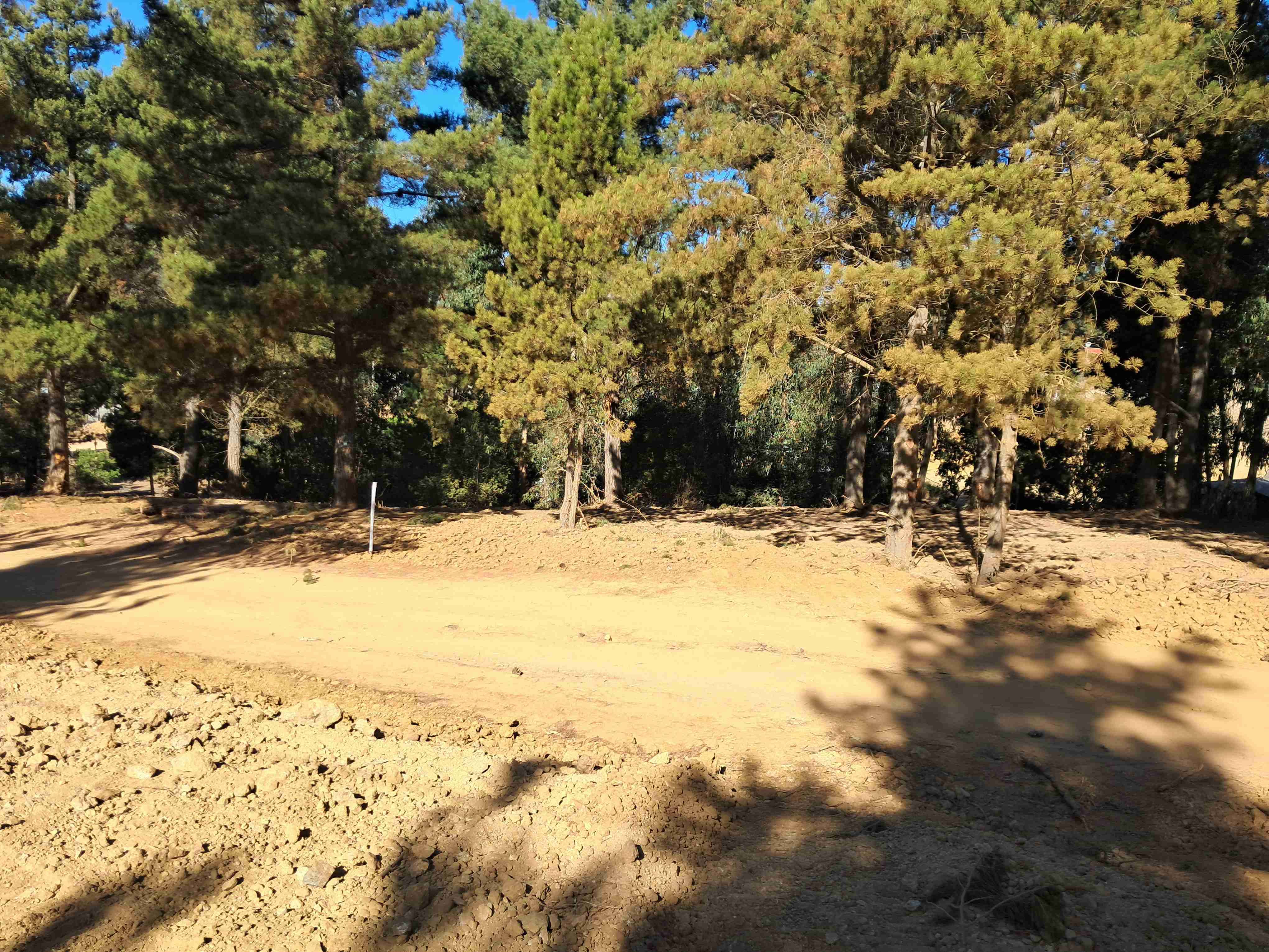 LAGUNA VERDE "OPORTUNIDAD" - miniatura 3