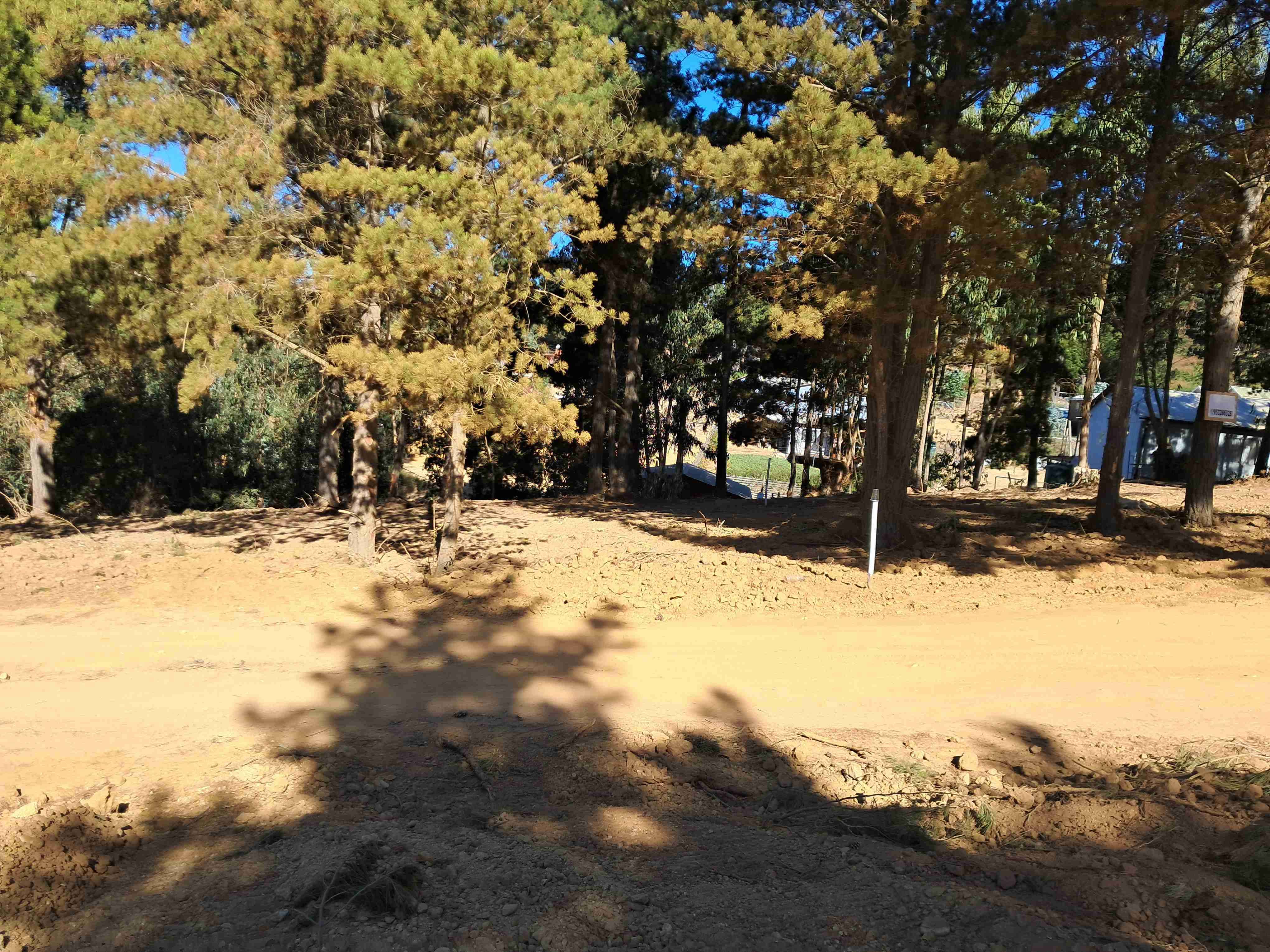 LAGUNA VERDE "OPORTUNIDAD" - miniatura 5