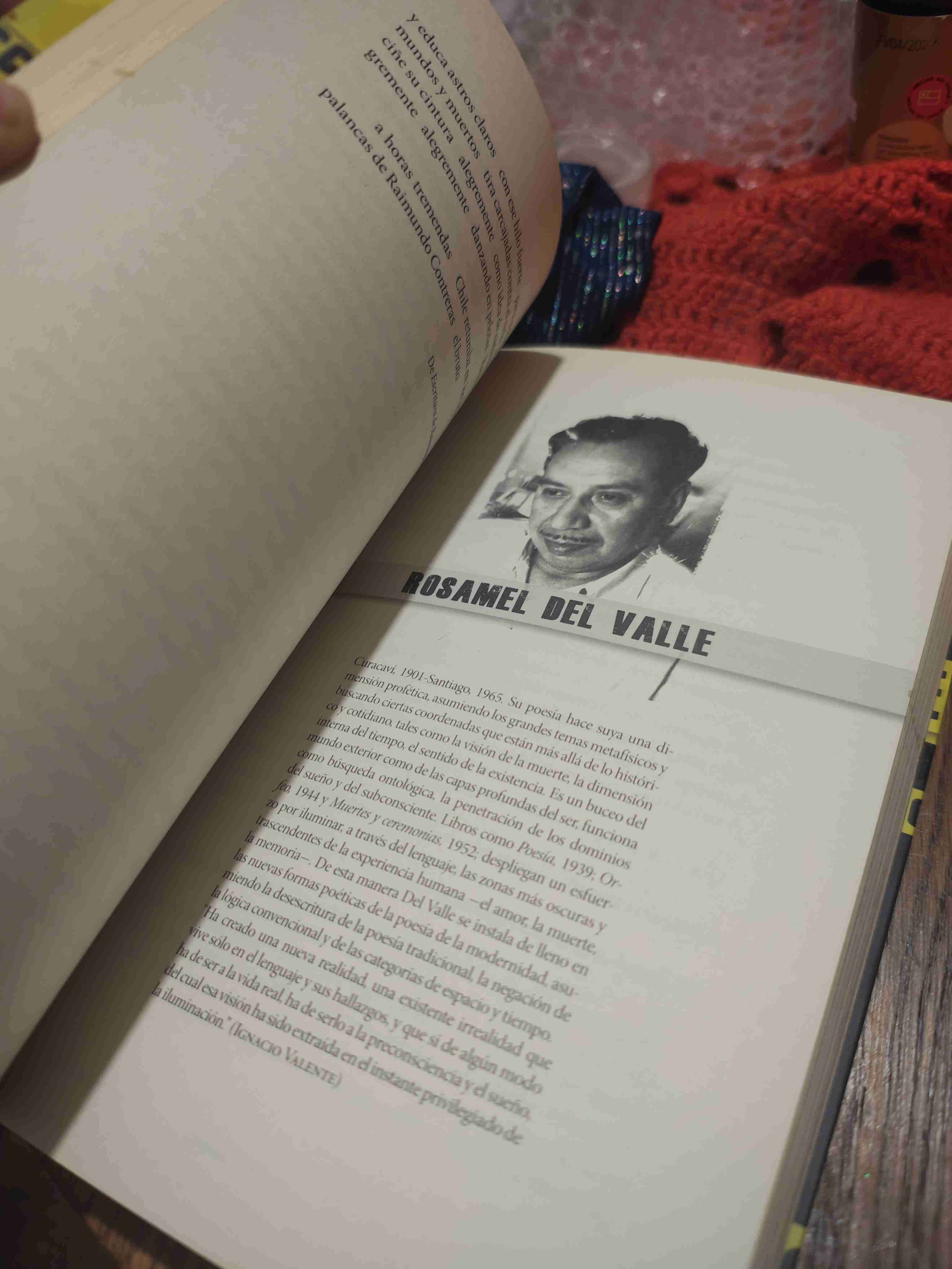 Poetas chilenos contemporáneos - miniatura 2