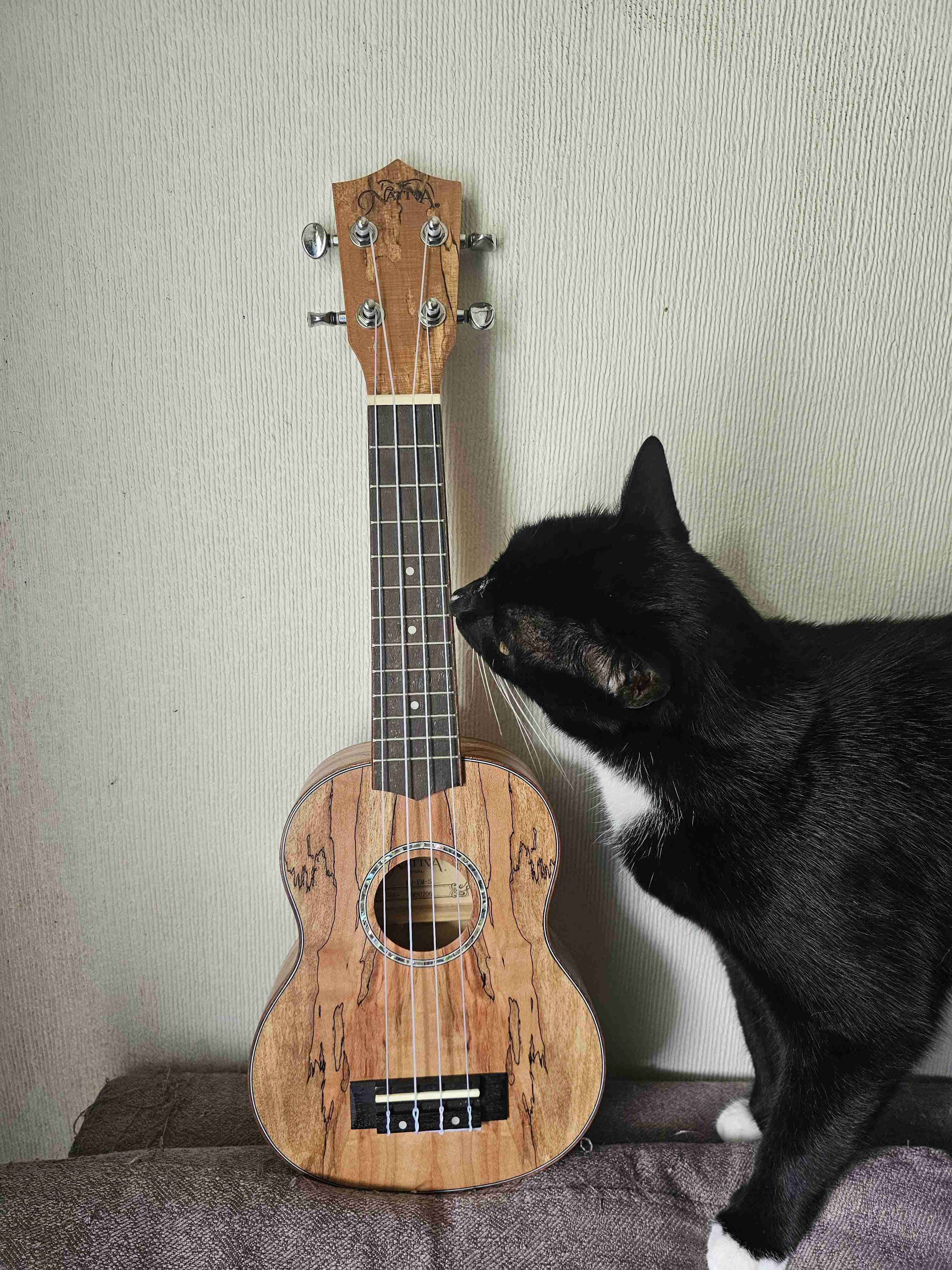 Ukulele Nativa - miniatura 1