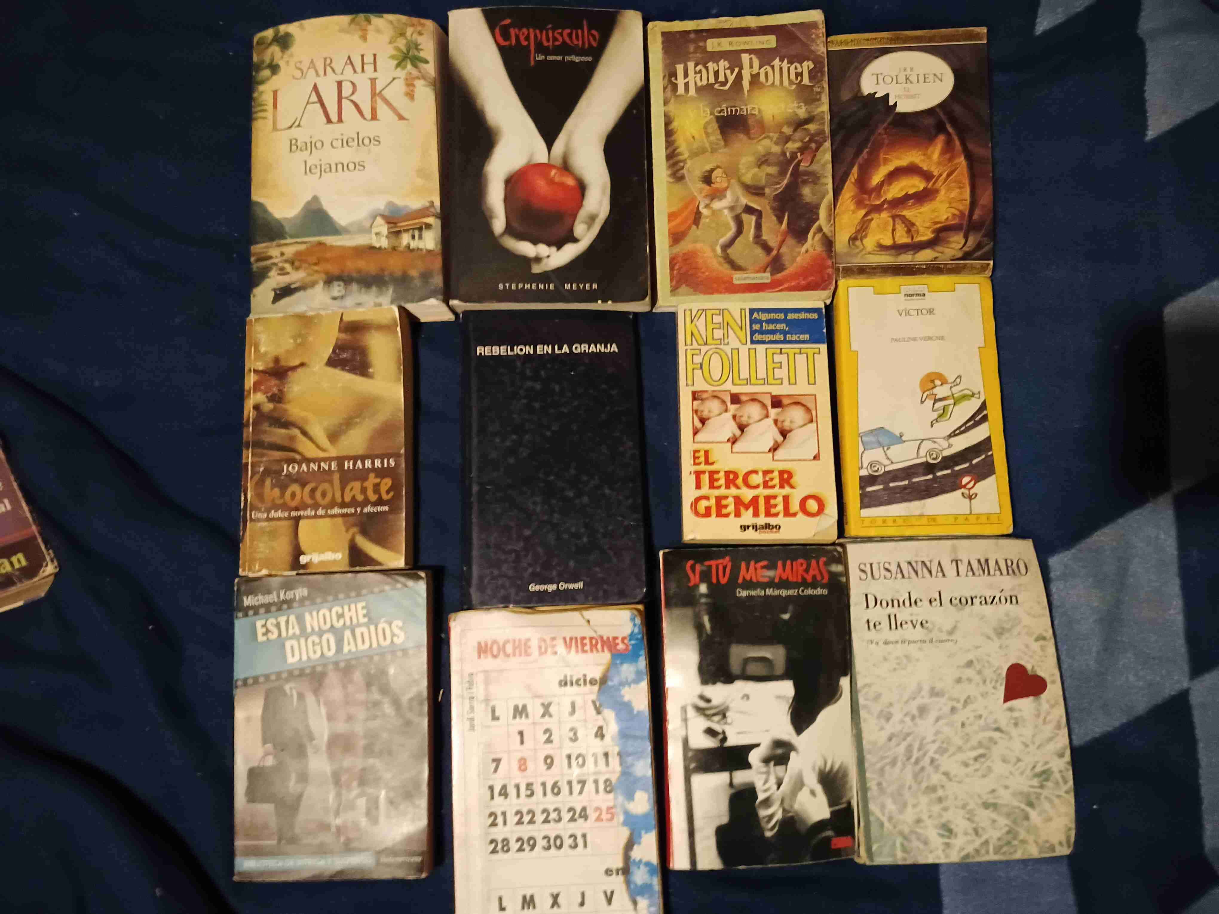 Lote de 55 libros populares variados - miniatura 1