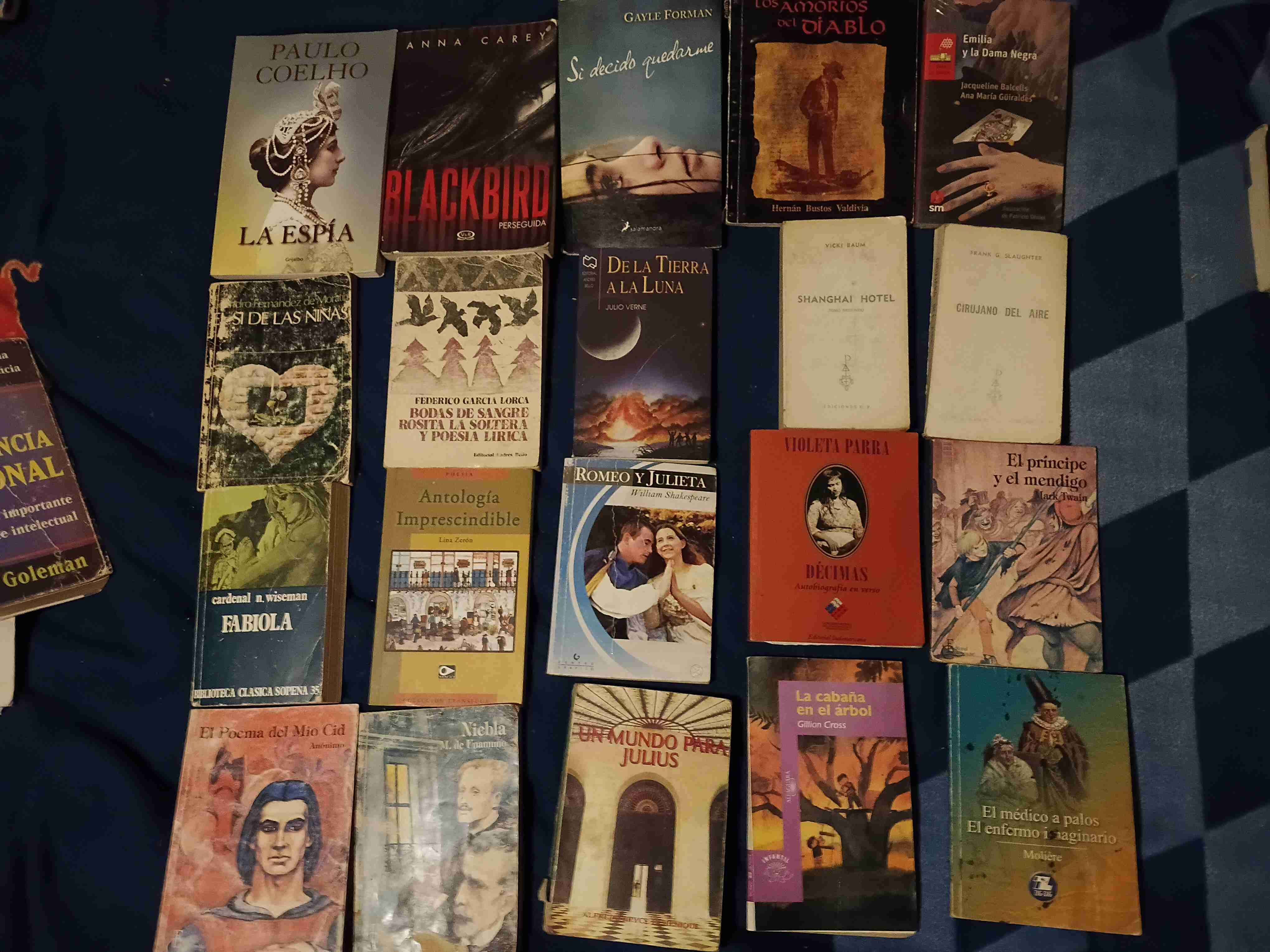 Lote de 55 libros populares variados - miniatura 2