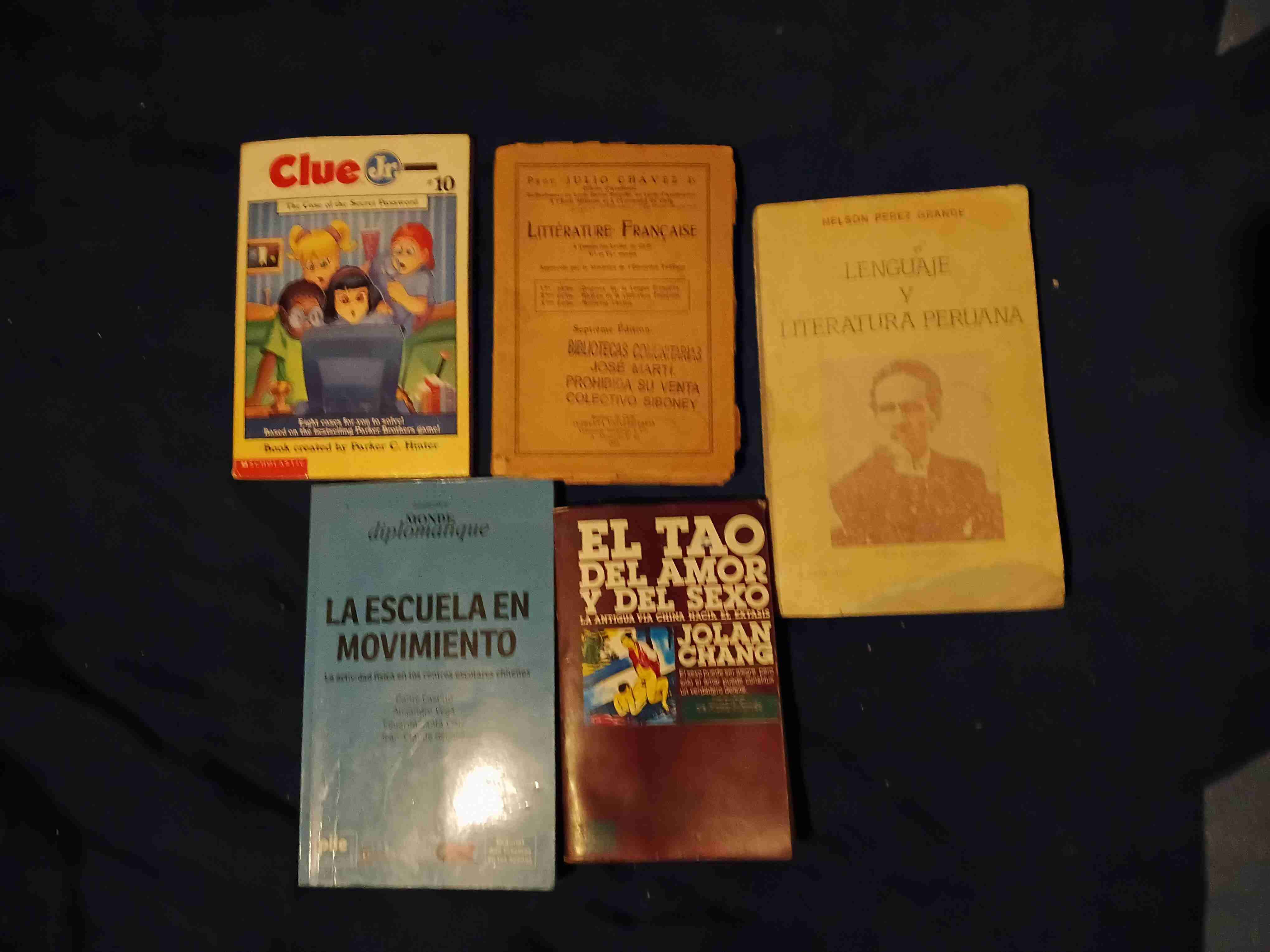 Lote de 55 libros populares variados - miniatura 4