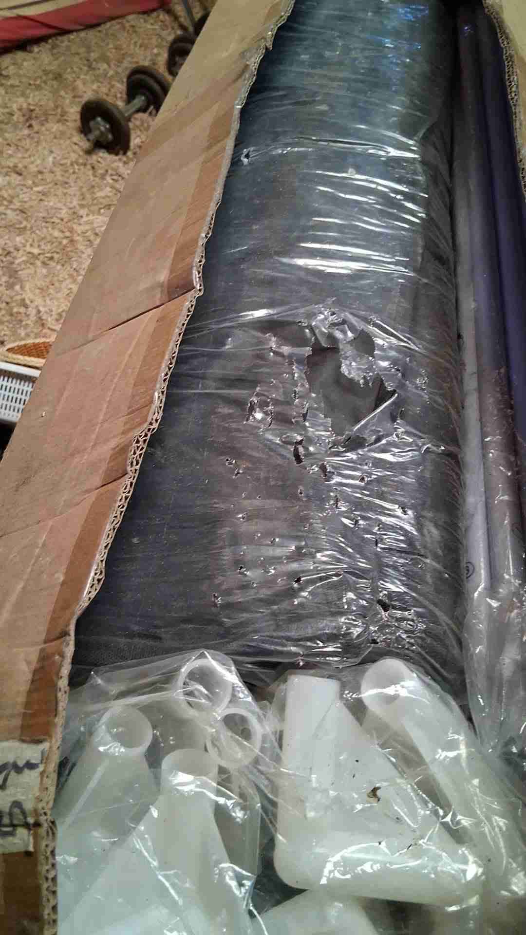 Carpa indoor - miniatura 2