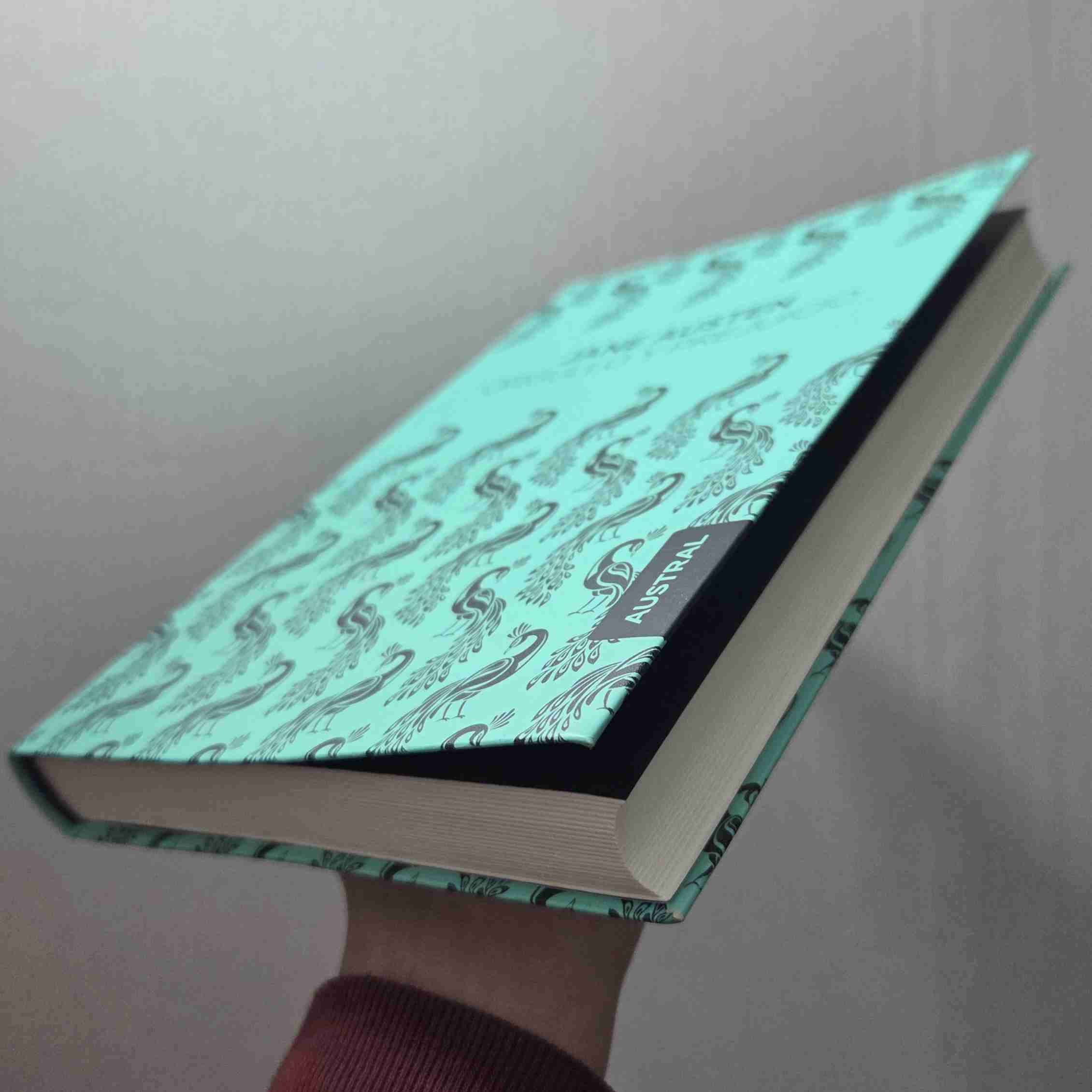 Libro Orgullo y Prejuicio Jane Austen - miniatura 5