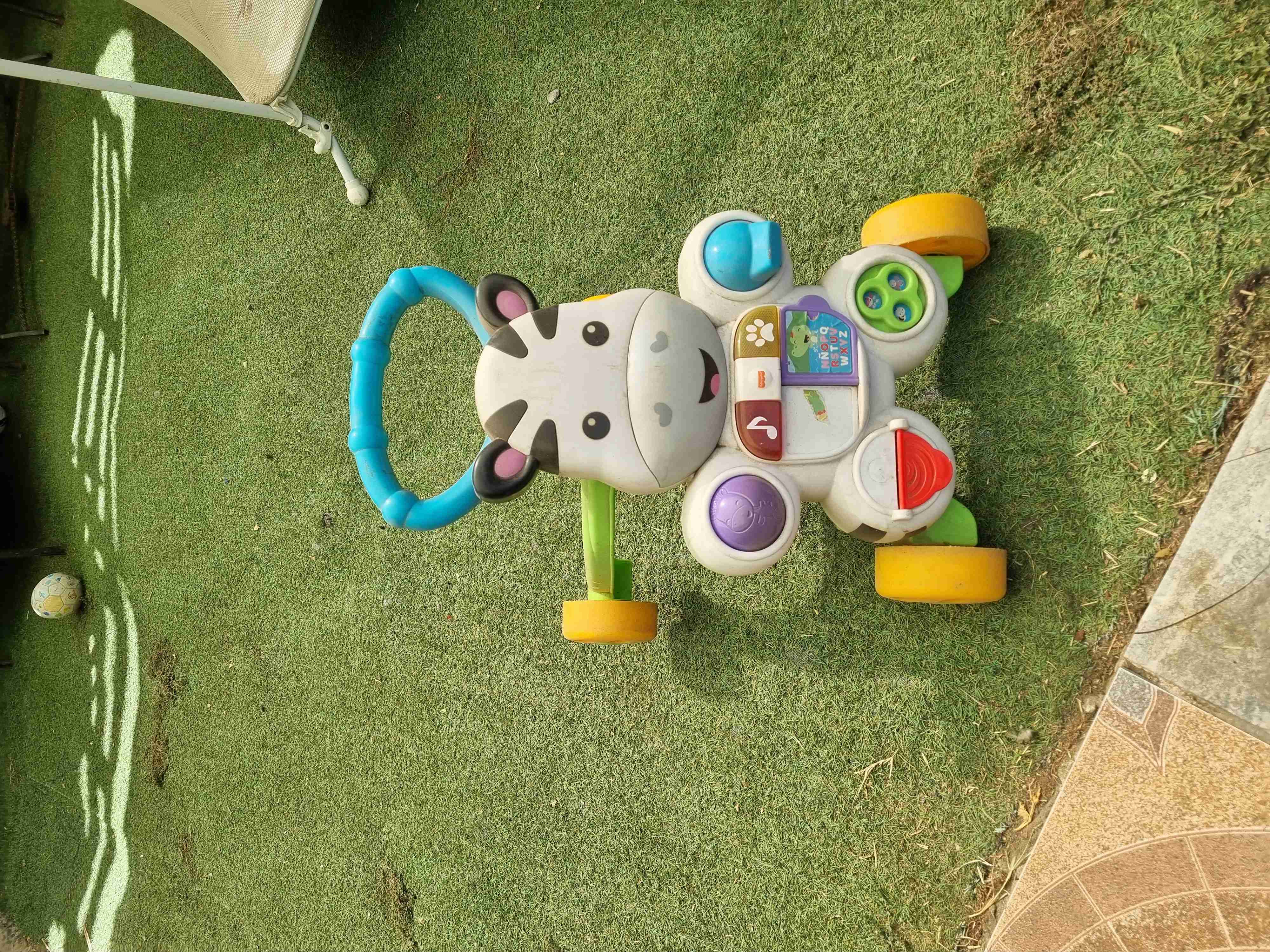 Andador infantil cebra interactivo