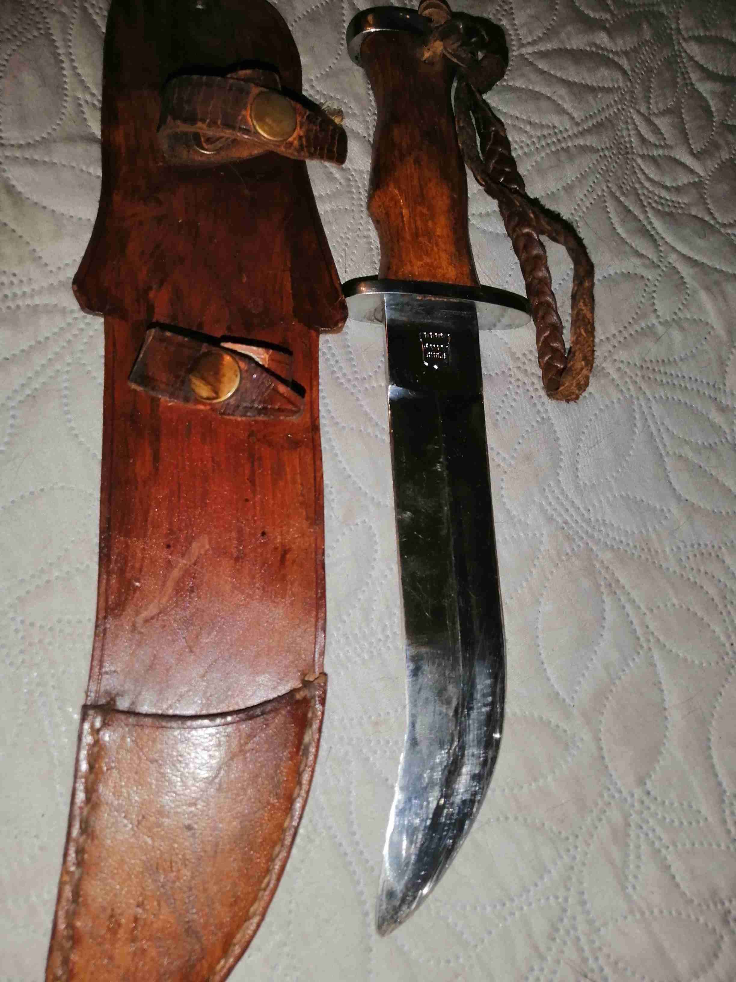 Corvo atacameño ejercito