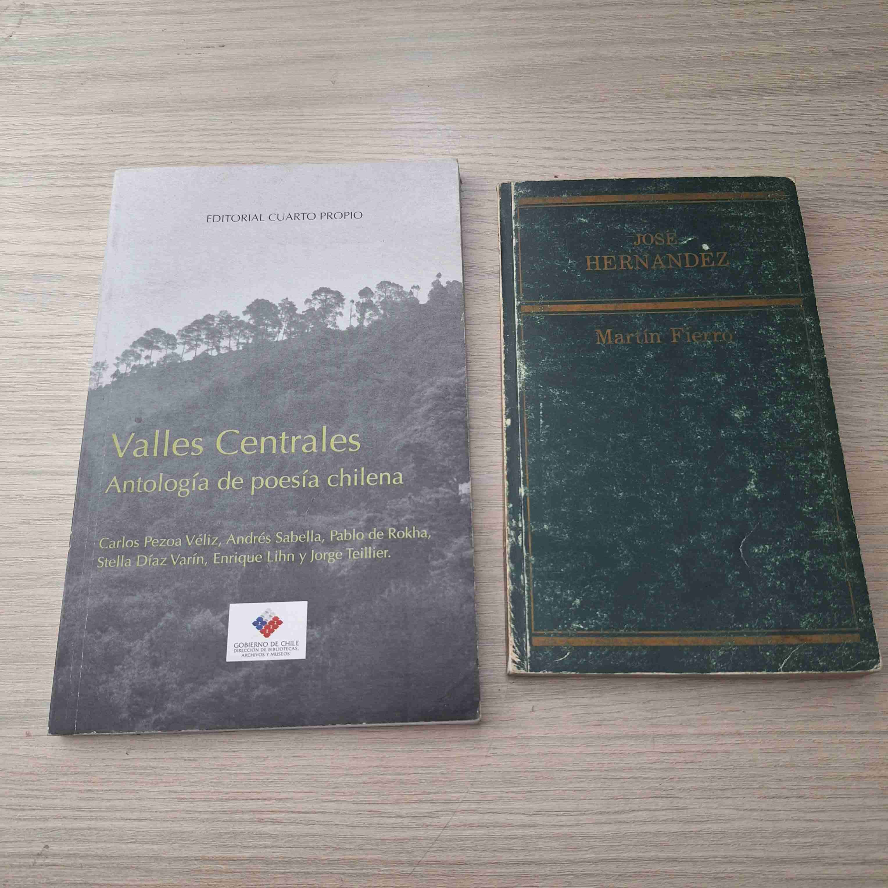 Antología de poesía y Martín Fierro - miniatura 1