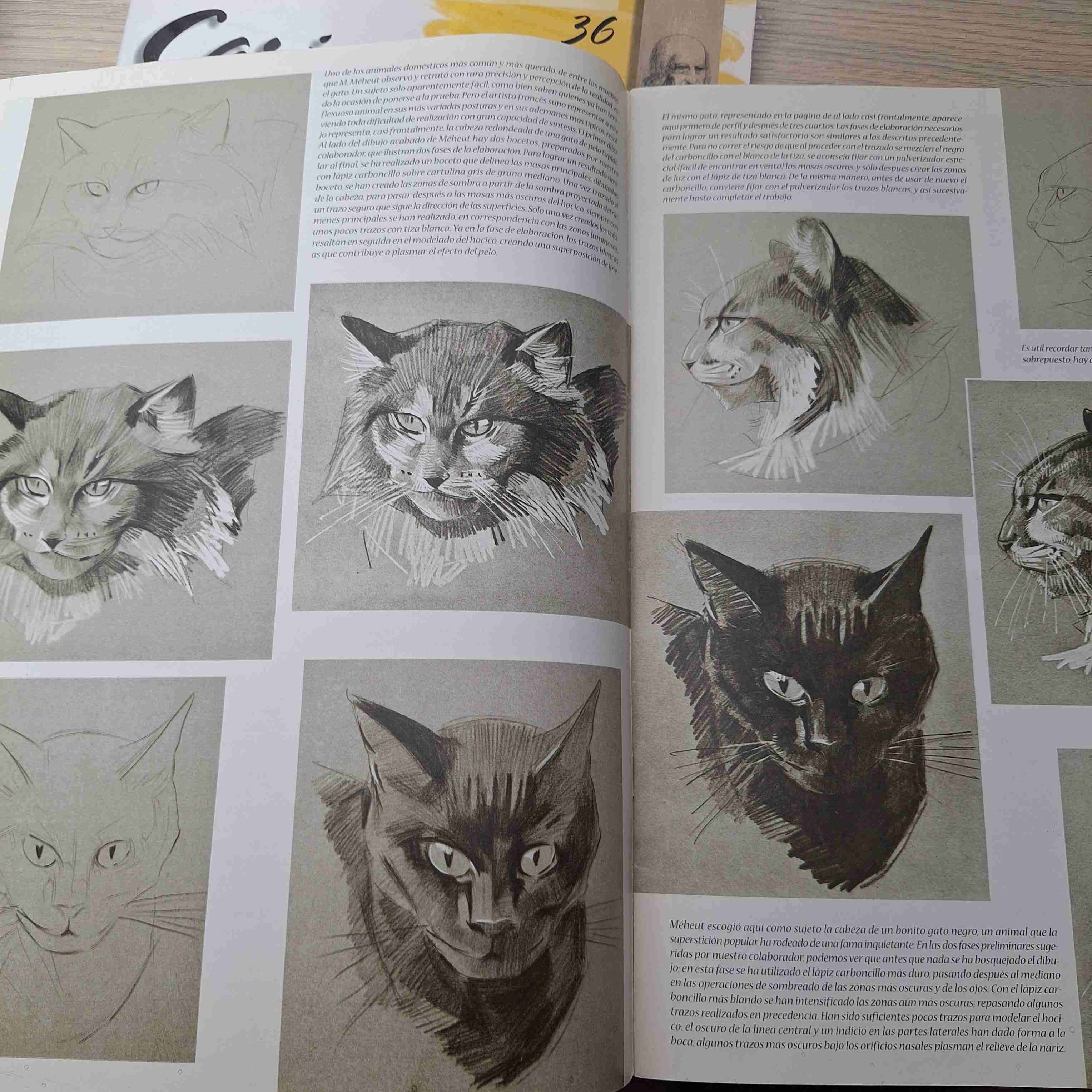 Colección Leonardo caricaturas y animales - miniatura 3