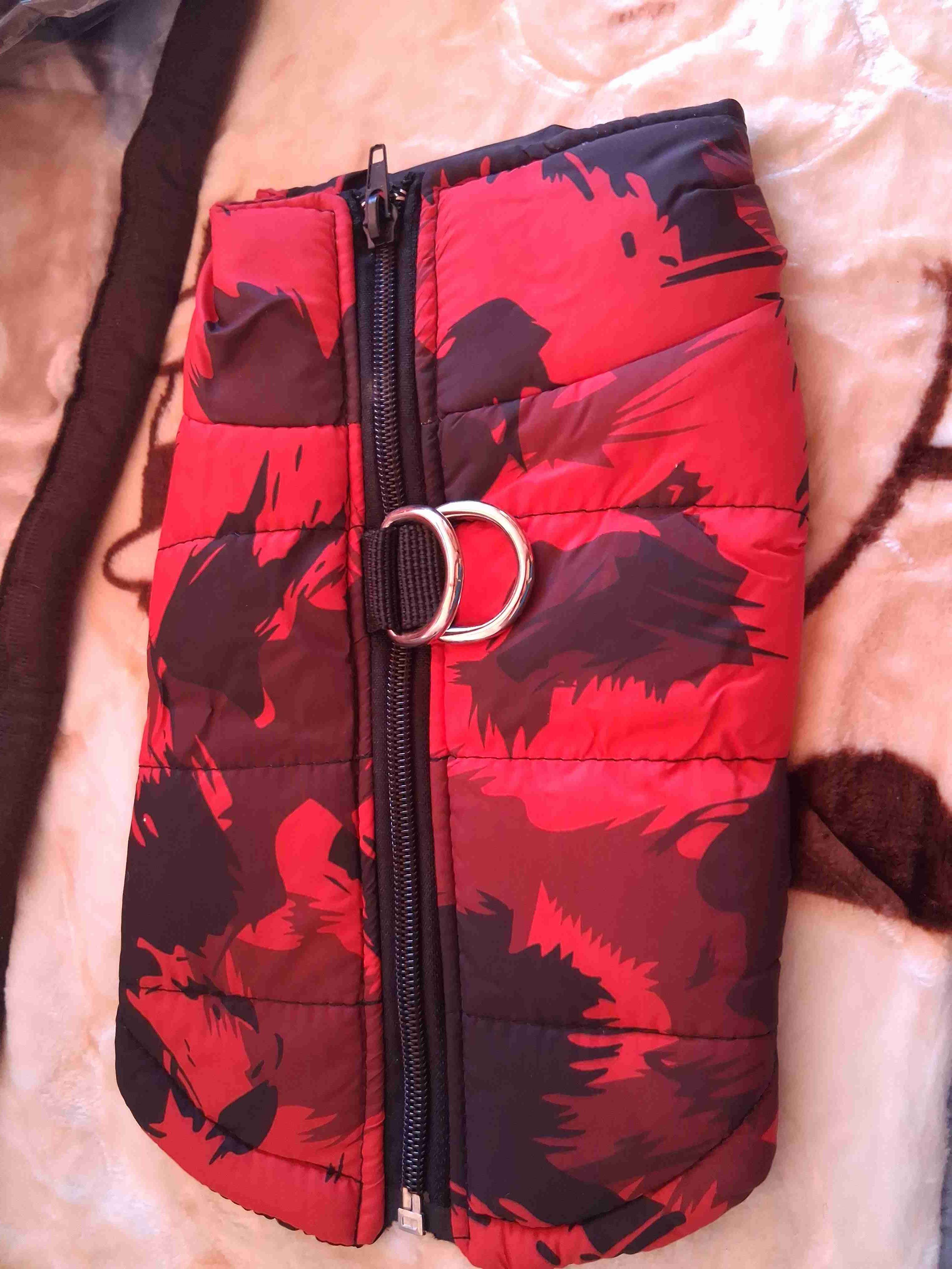 Chaleco acolchado rojo para mascotas - miniatura 1