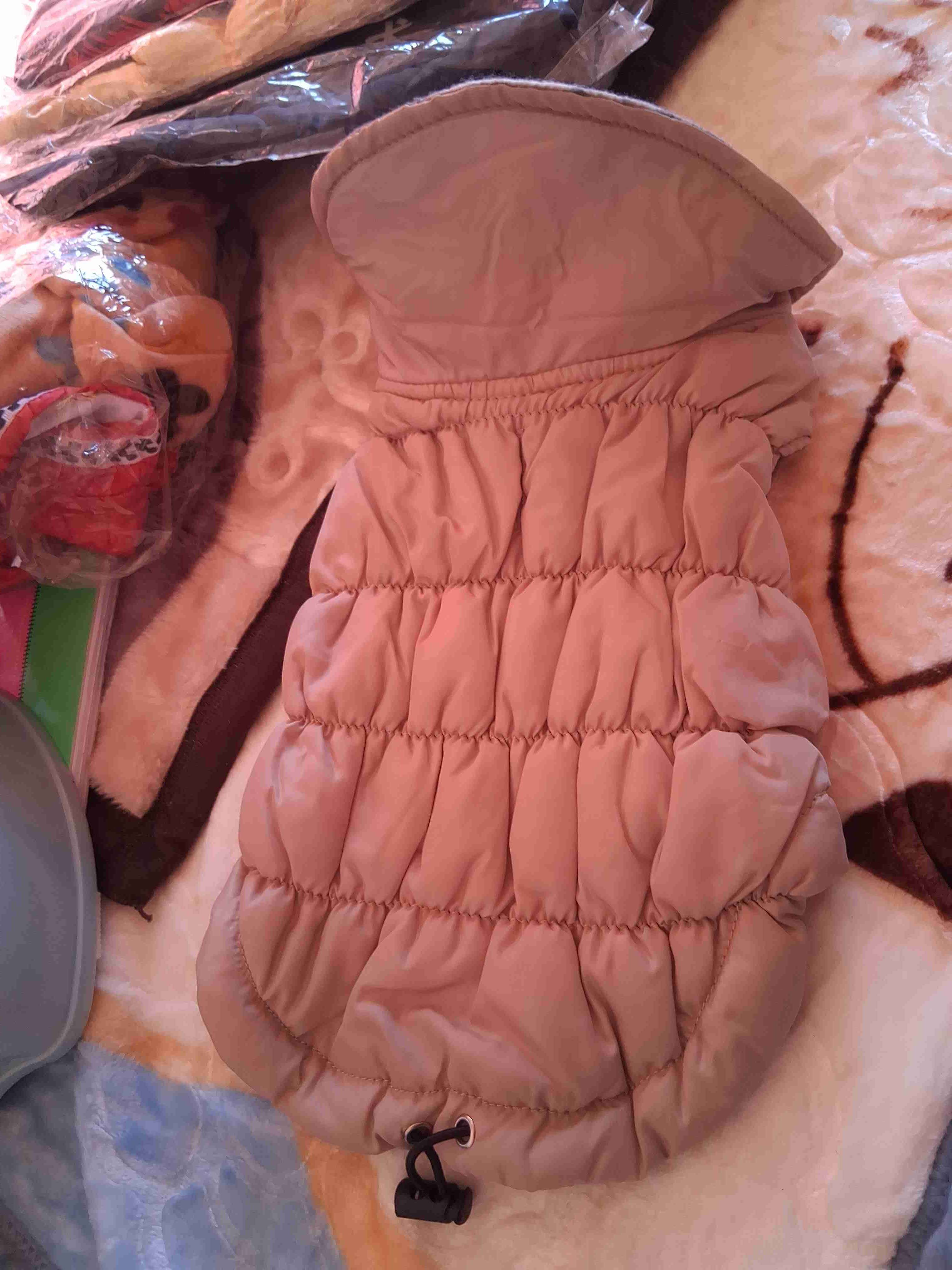 Chaleco acolchado rojo para mascotas - miniatura 2