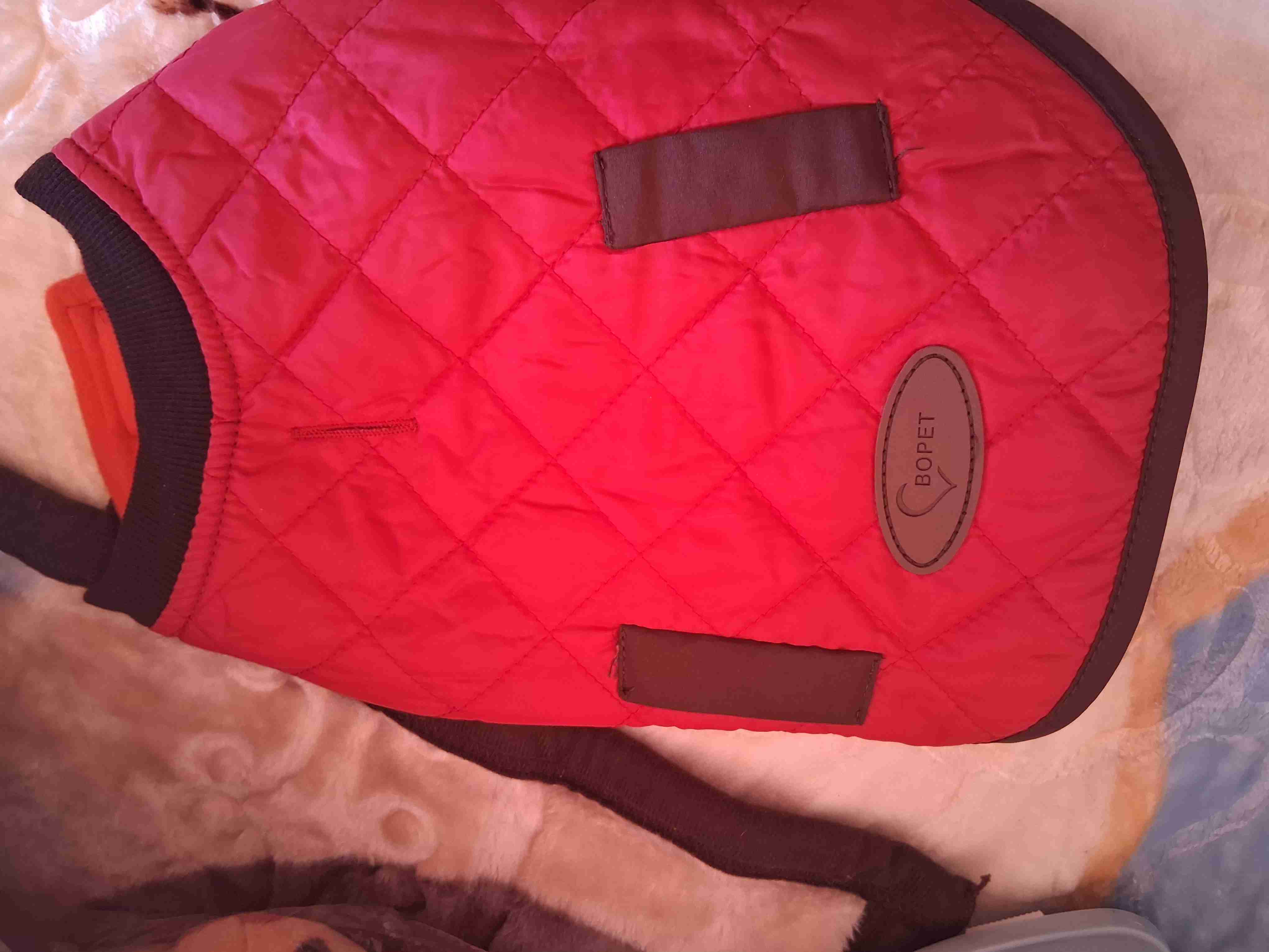 Chaleco acolchado rojo para mascotas - miniatura 4