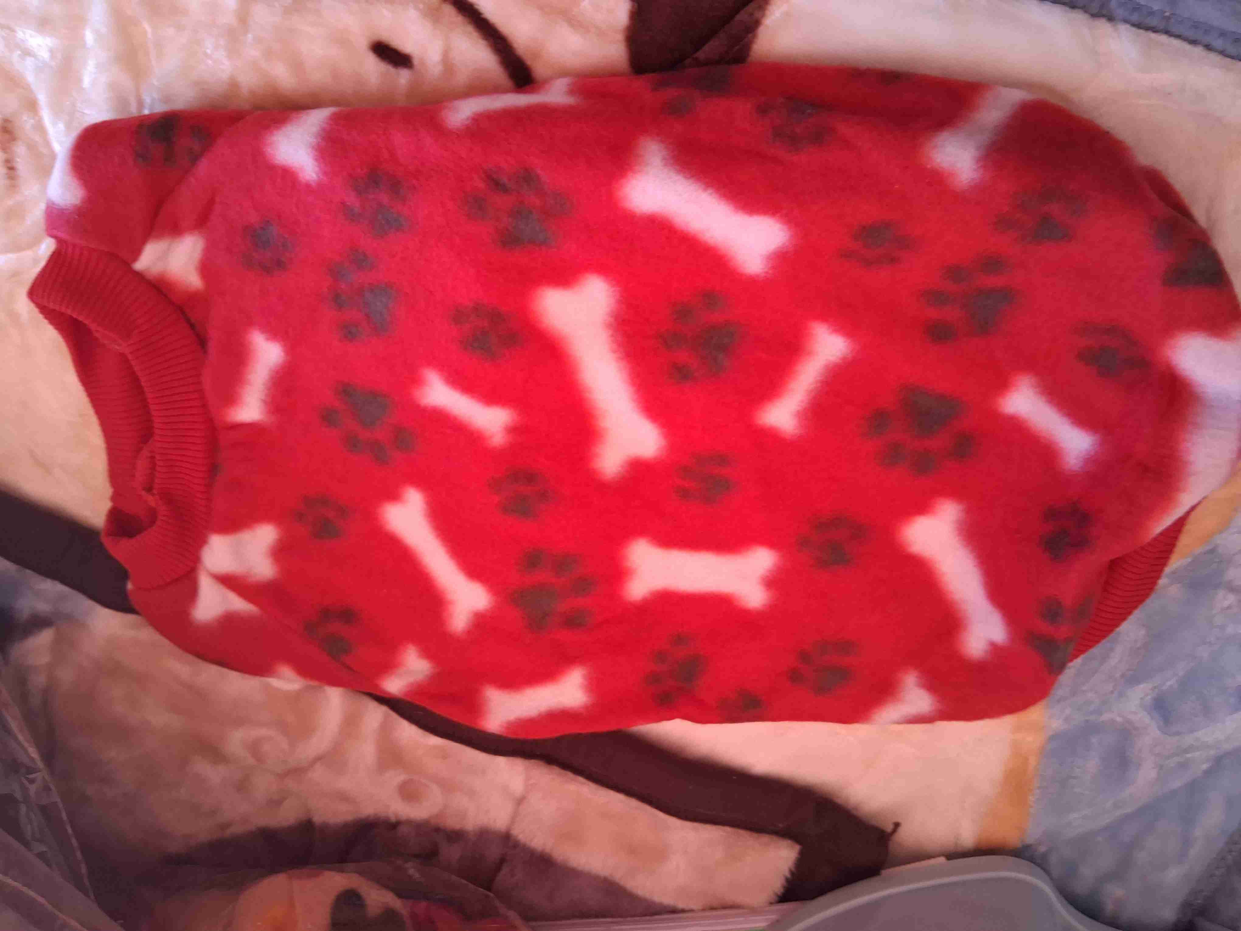 Chaleco acolchado rojo para mascotas - miniatura 5