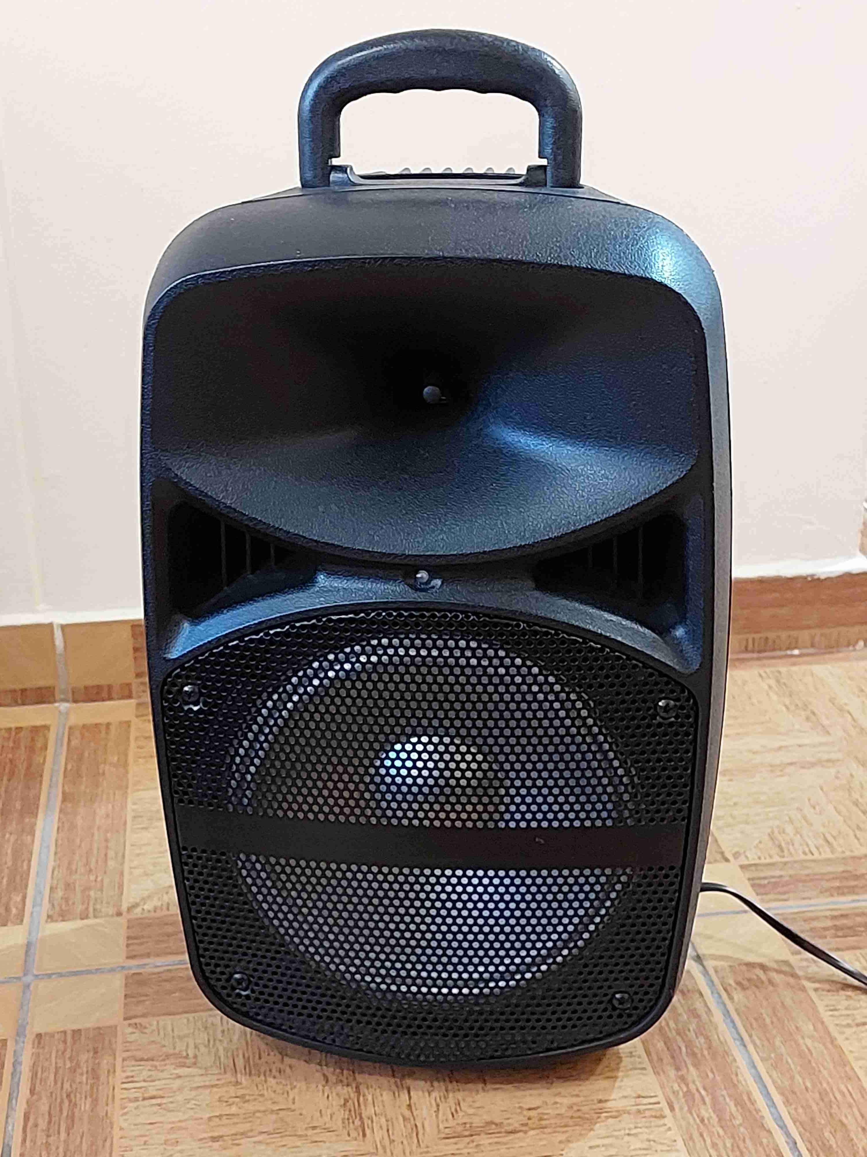 Parlante portátil grande - miniatura 1