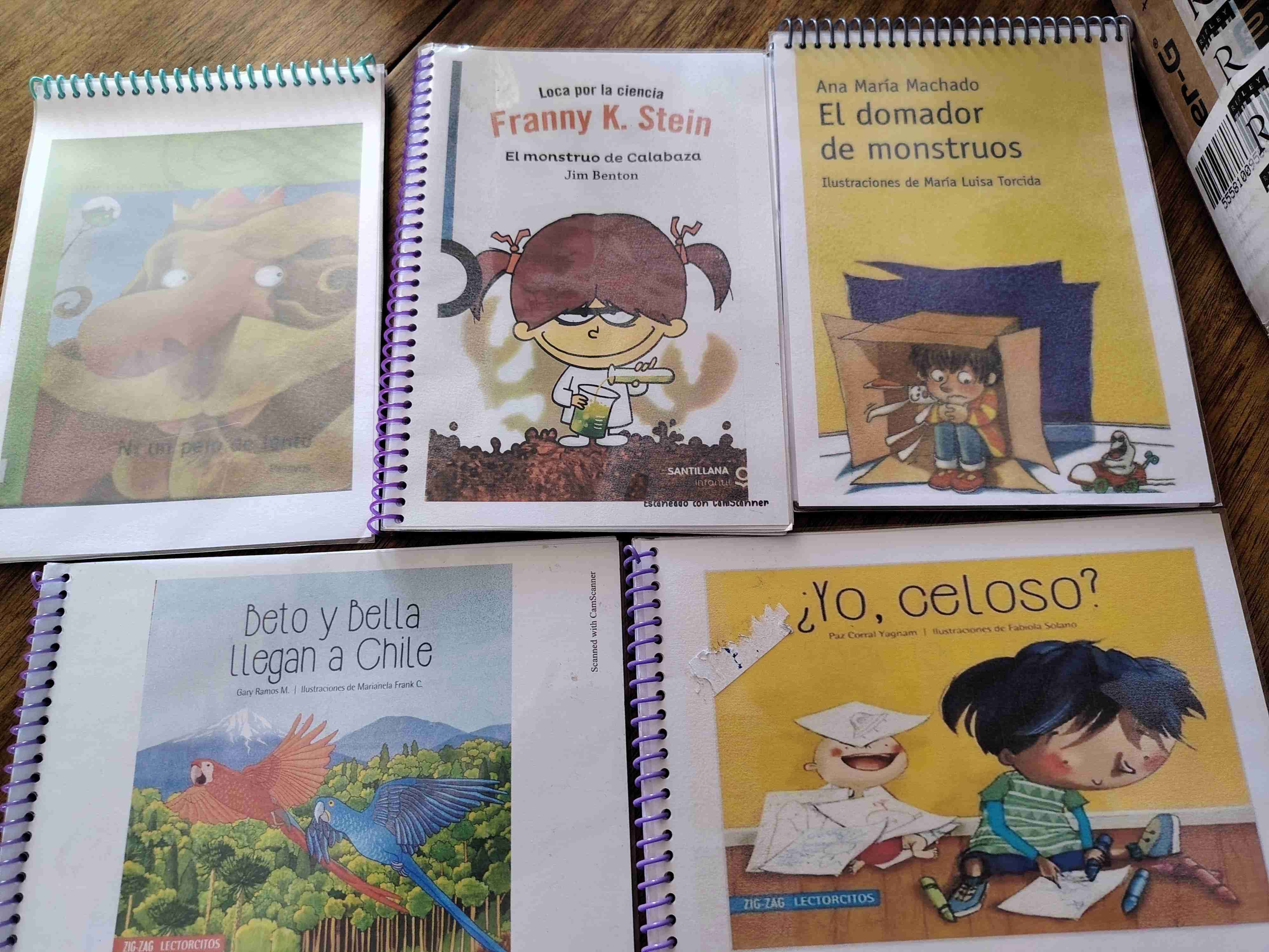 Copias libros - miniatura 3