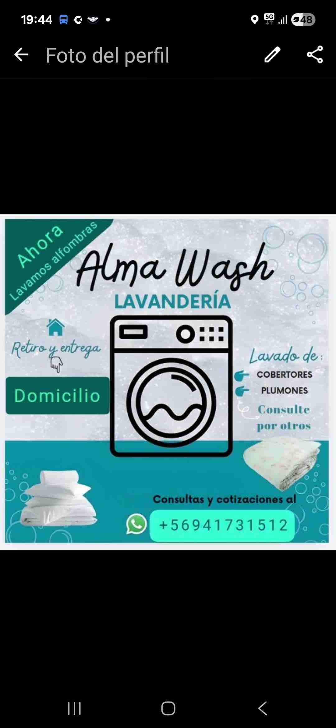 Lavado de ropa, plumones y alfombras