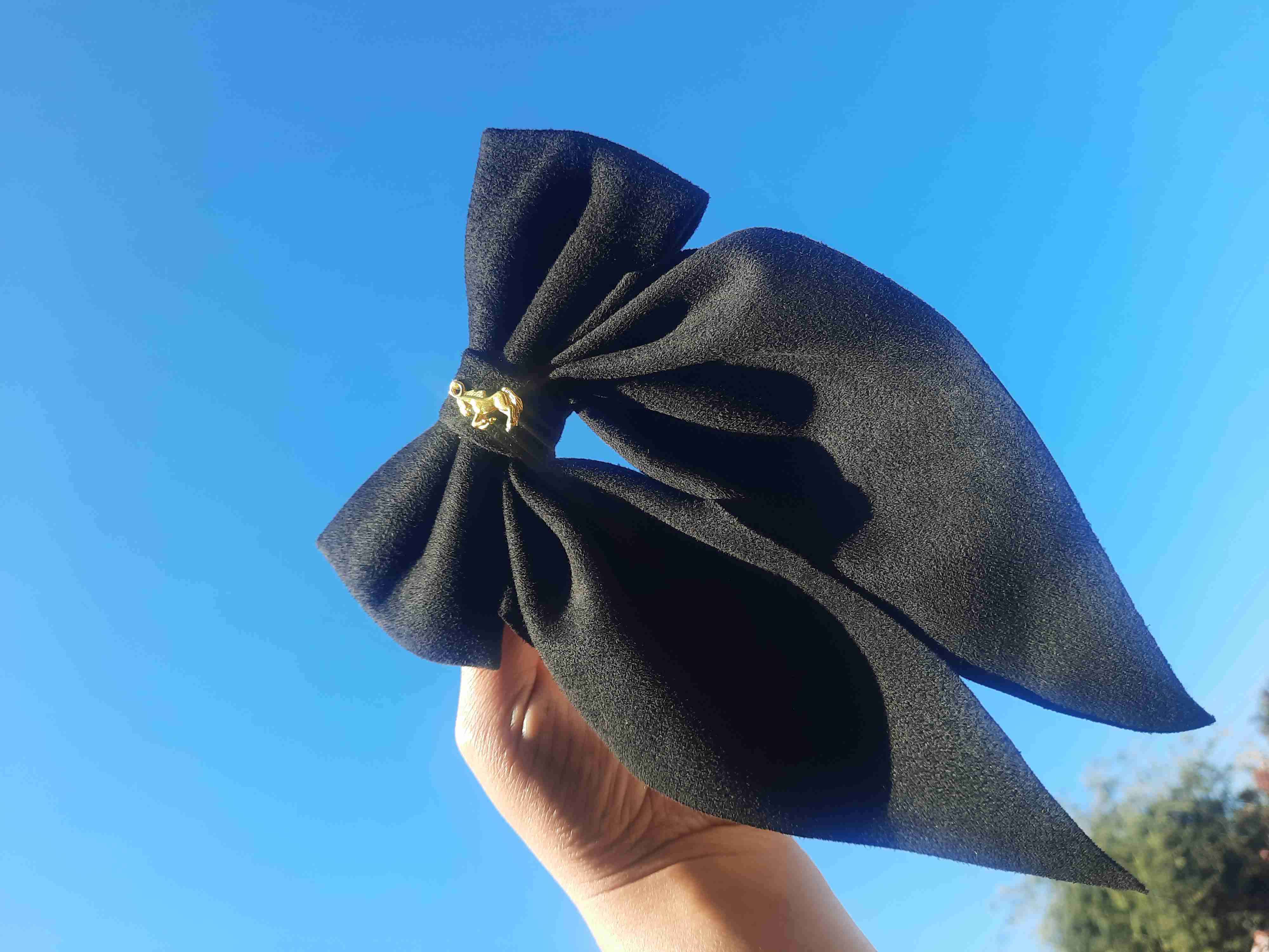 Lazos rancheros - miniatura 1