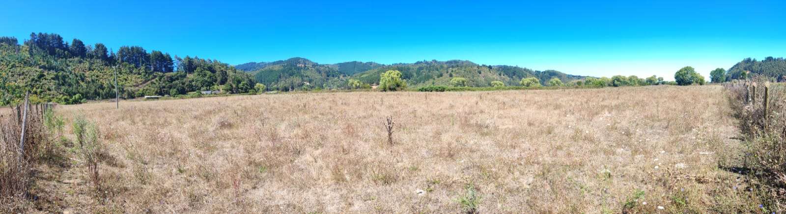 VENTA DE VEGA UBICADA EN TALCAMAVIDA, COBQUECURA. - miniatura 2