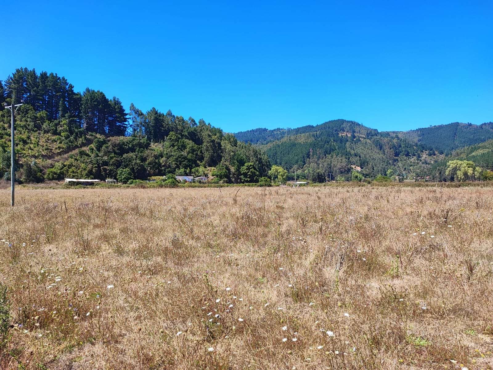 VENTA DE VEGA UBICADA EN TALCAMAVIDA, COBQUECURA. - miniatura 3