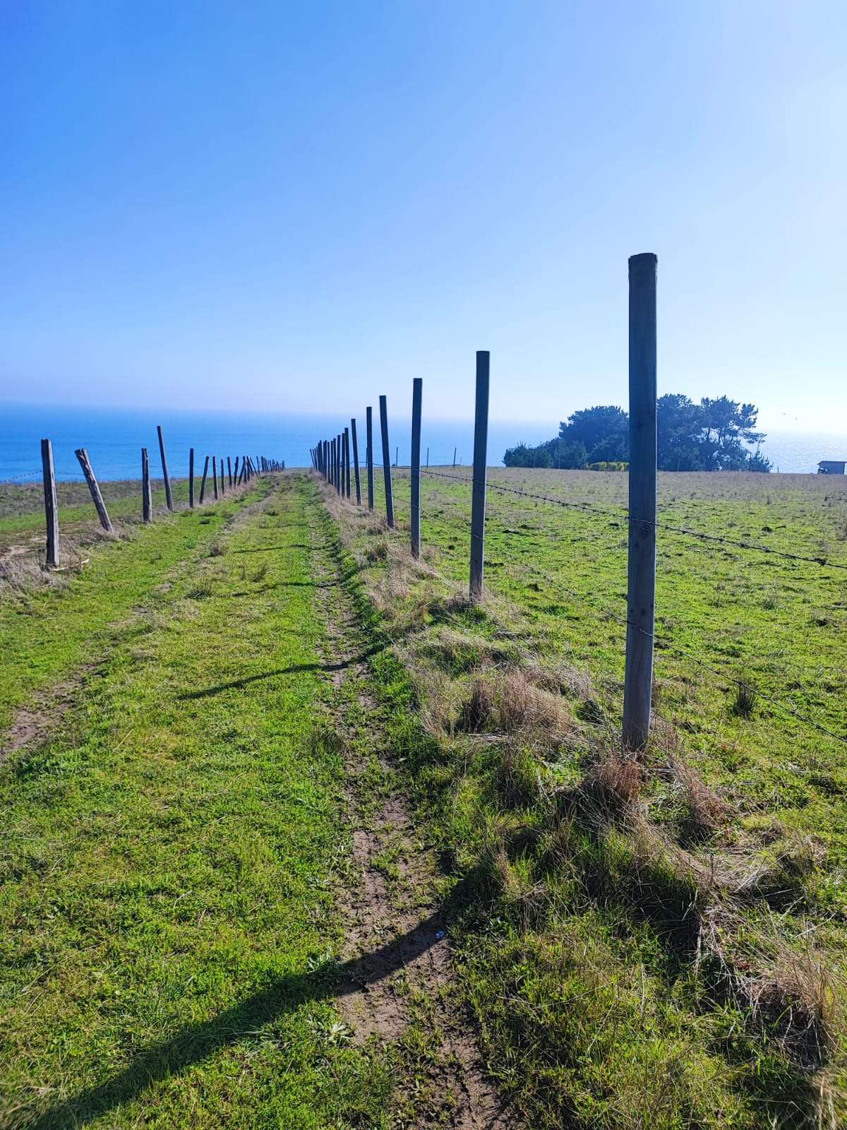 VENTA DE TERRENO SECTOR LA ORILLA, COBQUECURA. - miniatura 2