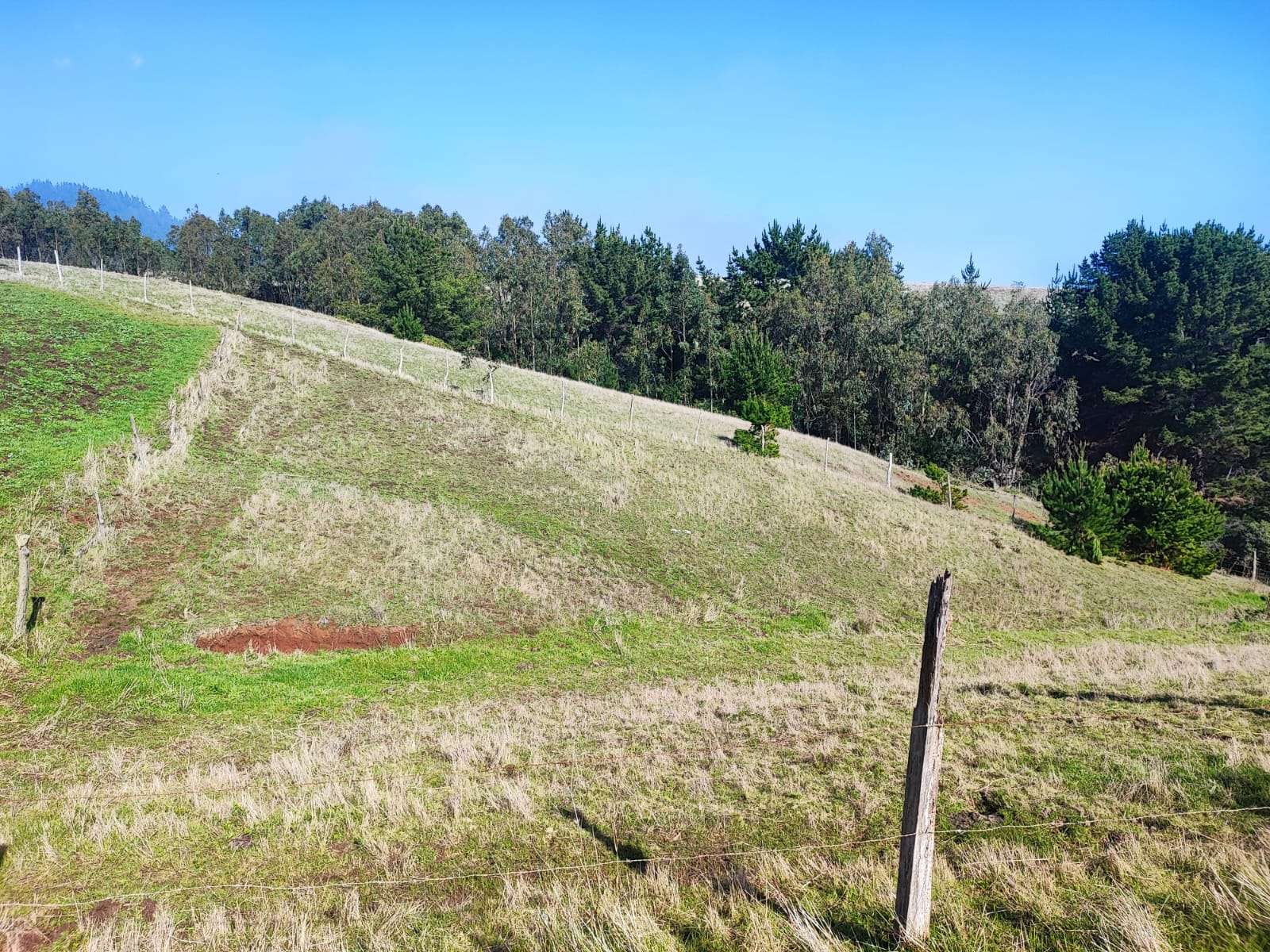 VENTA DE TERRENO SECTOR LA ORILLA, COBQUECURA. - miniatura 3