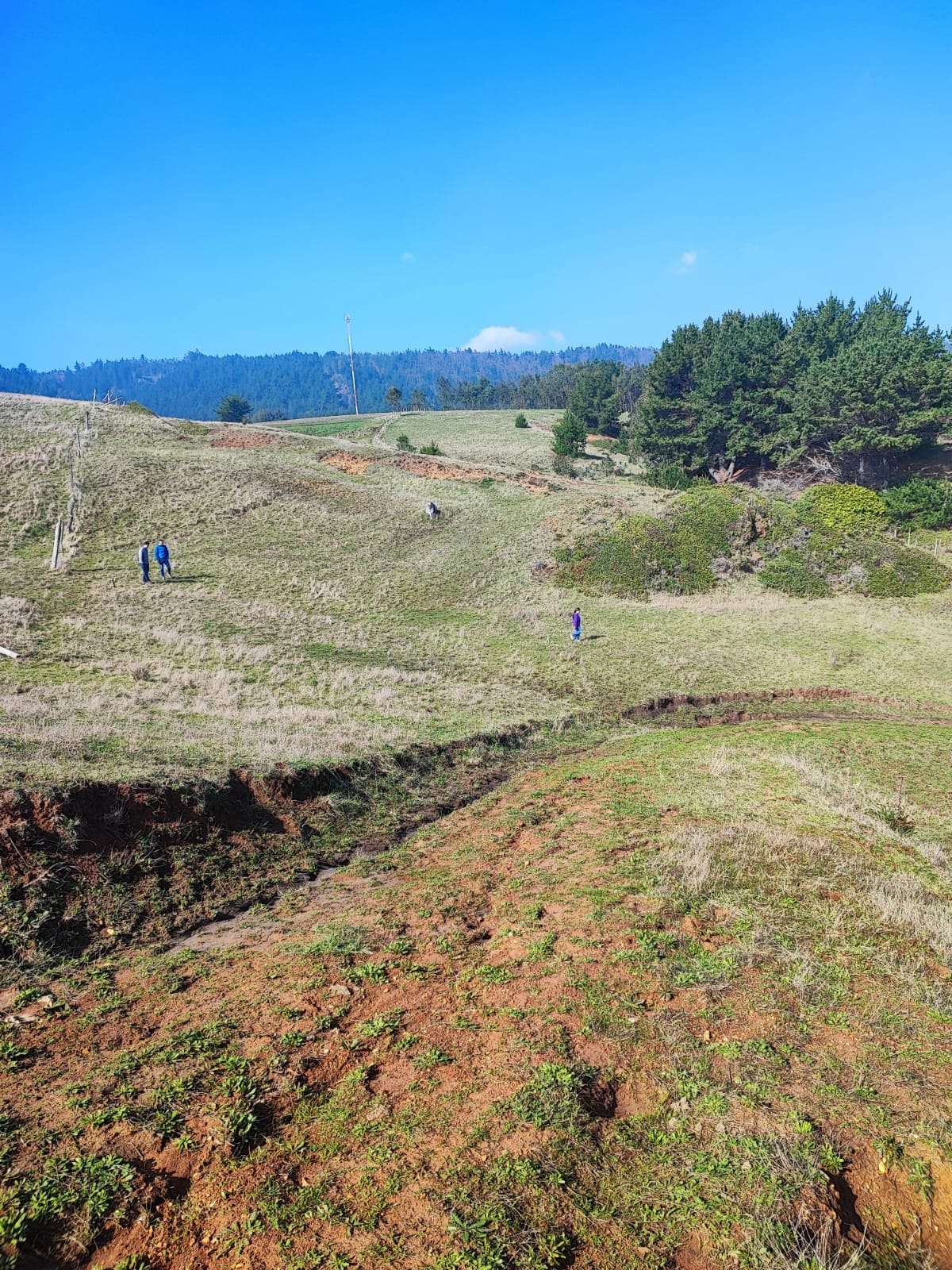 VENTA DE TERRENO SECTOR LA ORILLA, COBQUECURA. - miniatura 4