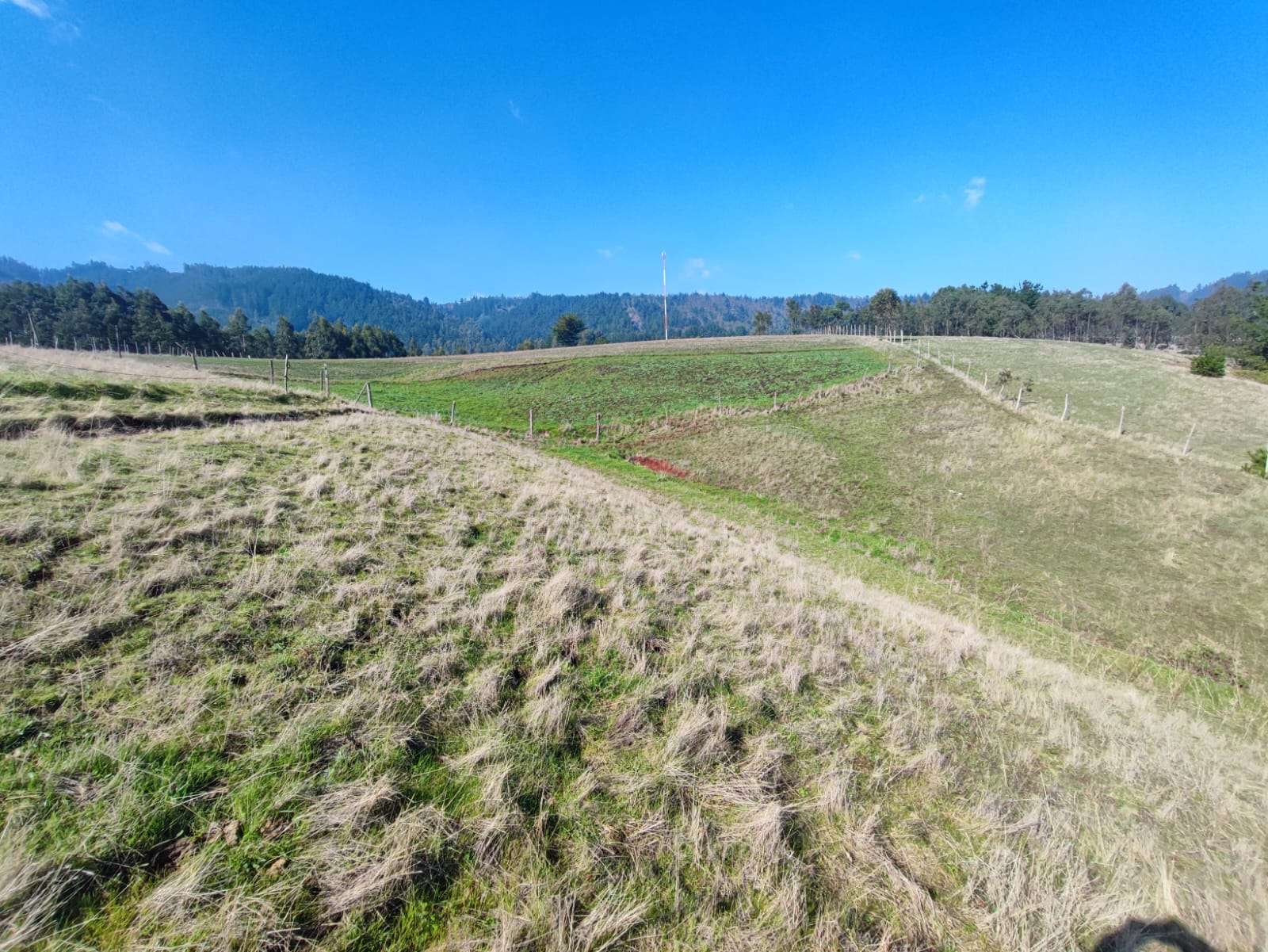 VENTA DE TERRENO SECTOR LA ORILLA, COBQUECURA. - miniatura 5