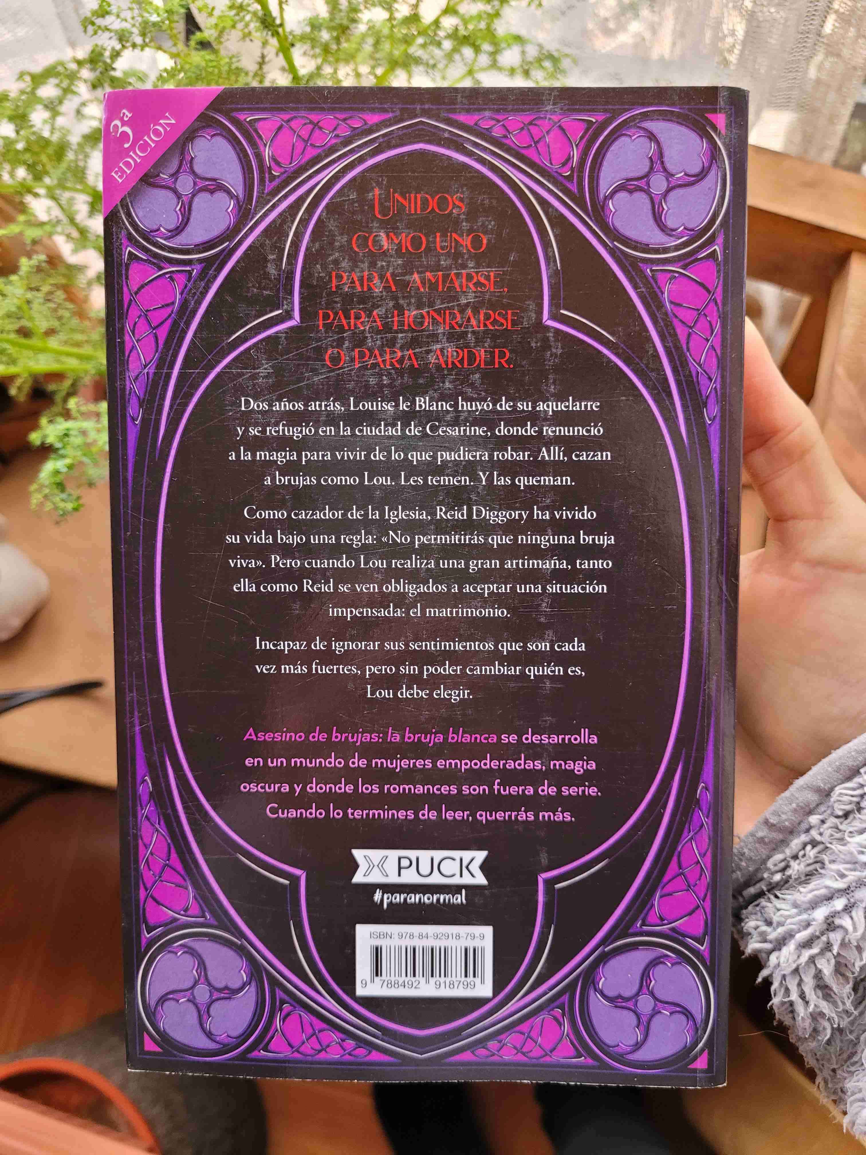 Trilogía Asesino de Brujas - miniatura 2