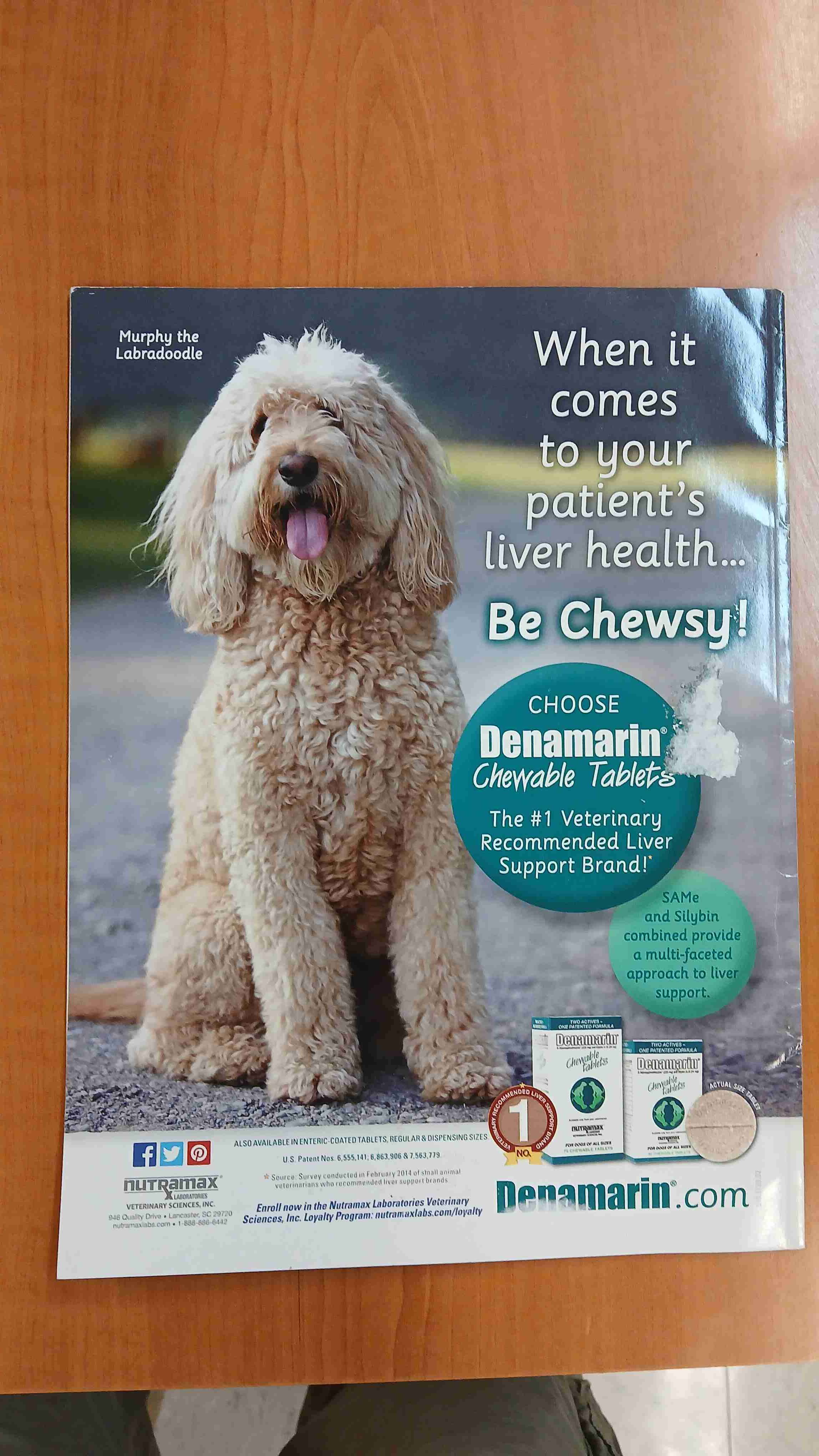 Revista Veterinaria JAVMA - miniatura 2