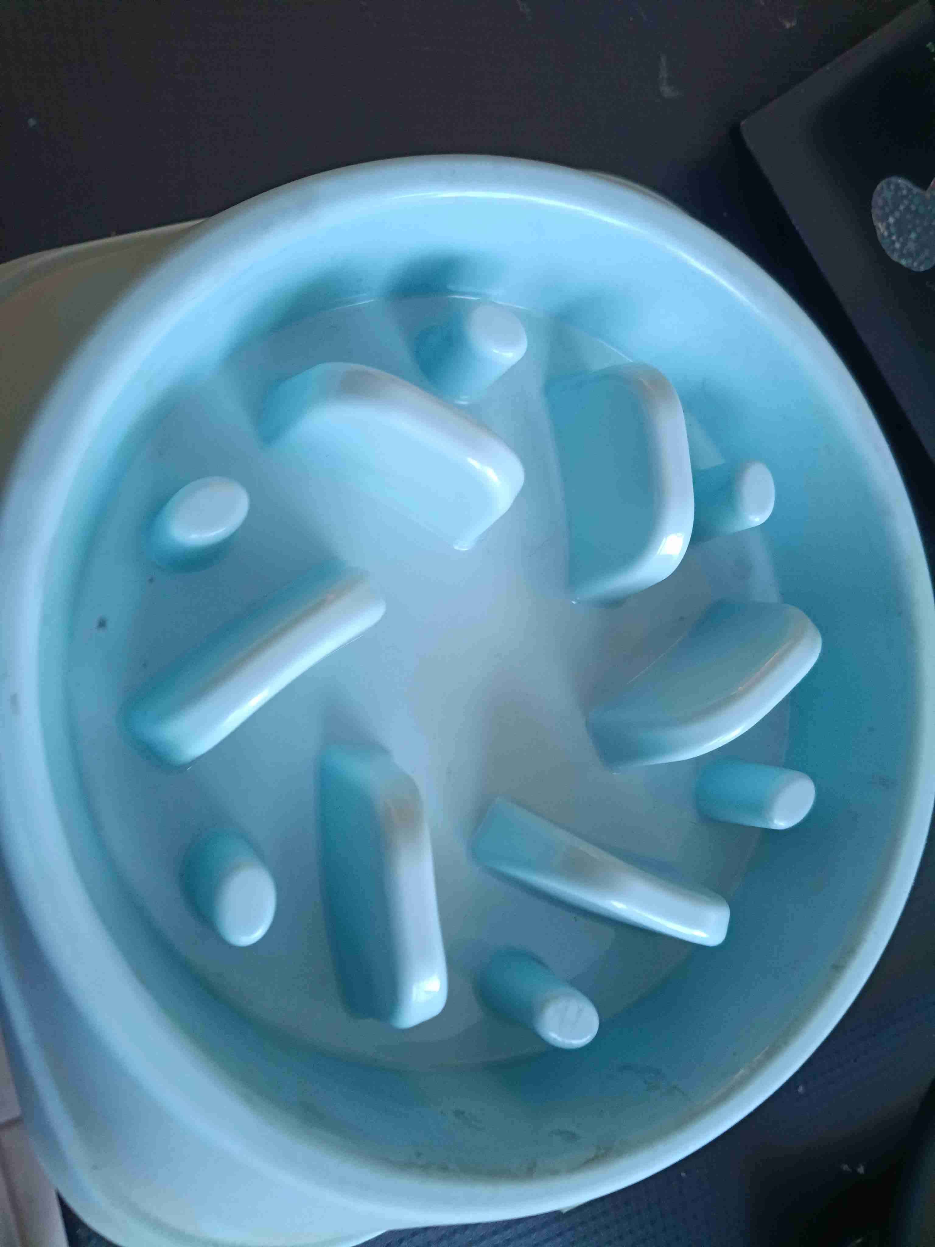 Plato lento para mascotas azul