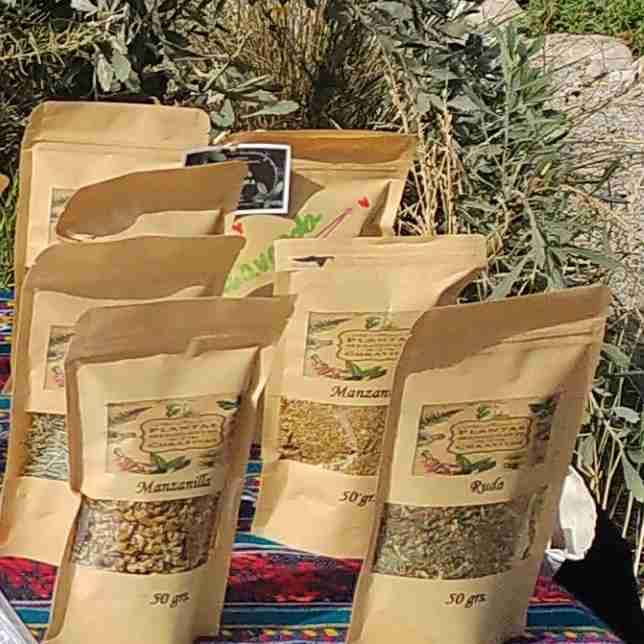 Hierbas medicinales - miniatura 2