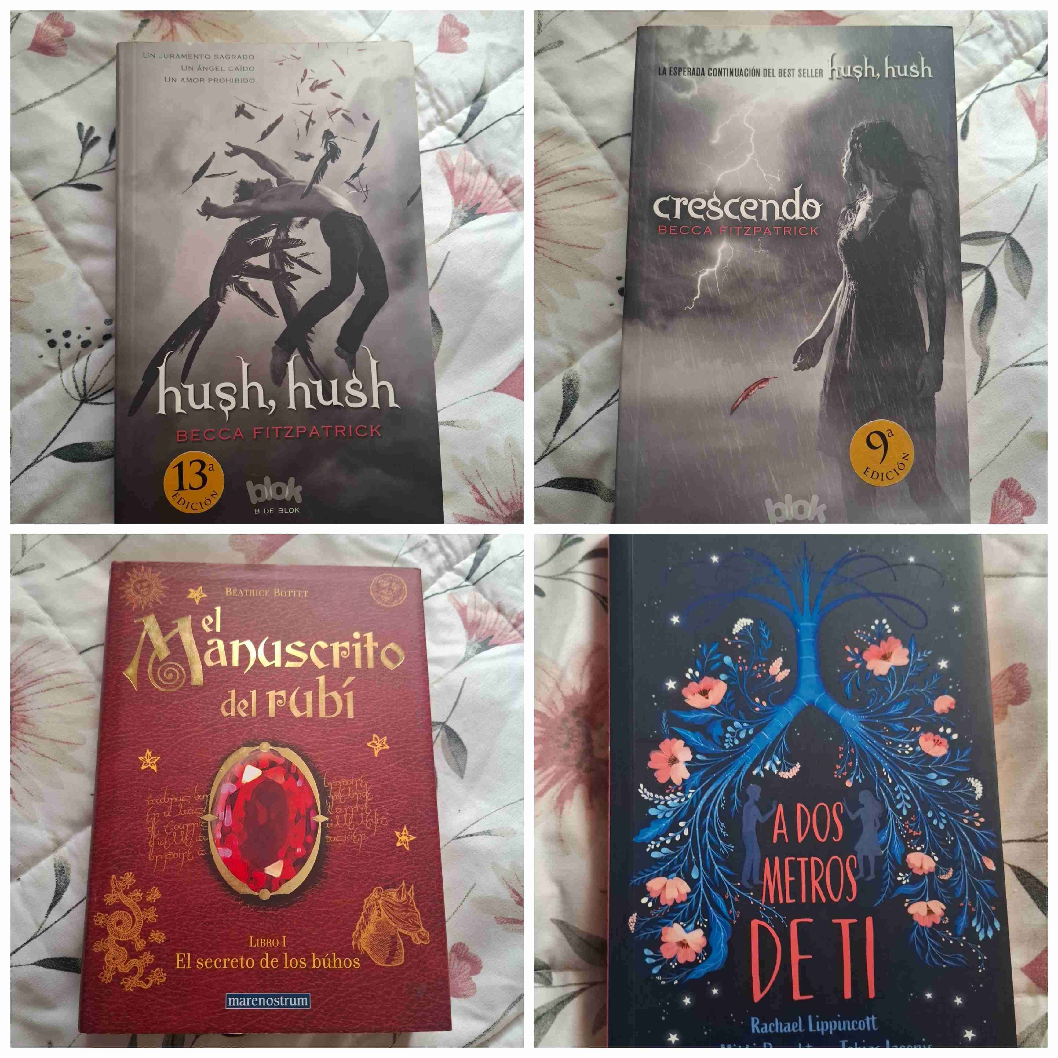 Libros variados (vendo o permuto)Leer Descripción - miniatura 3