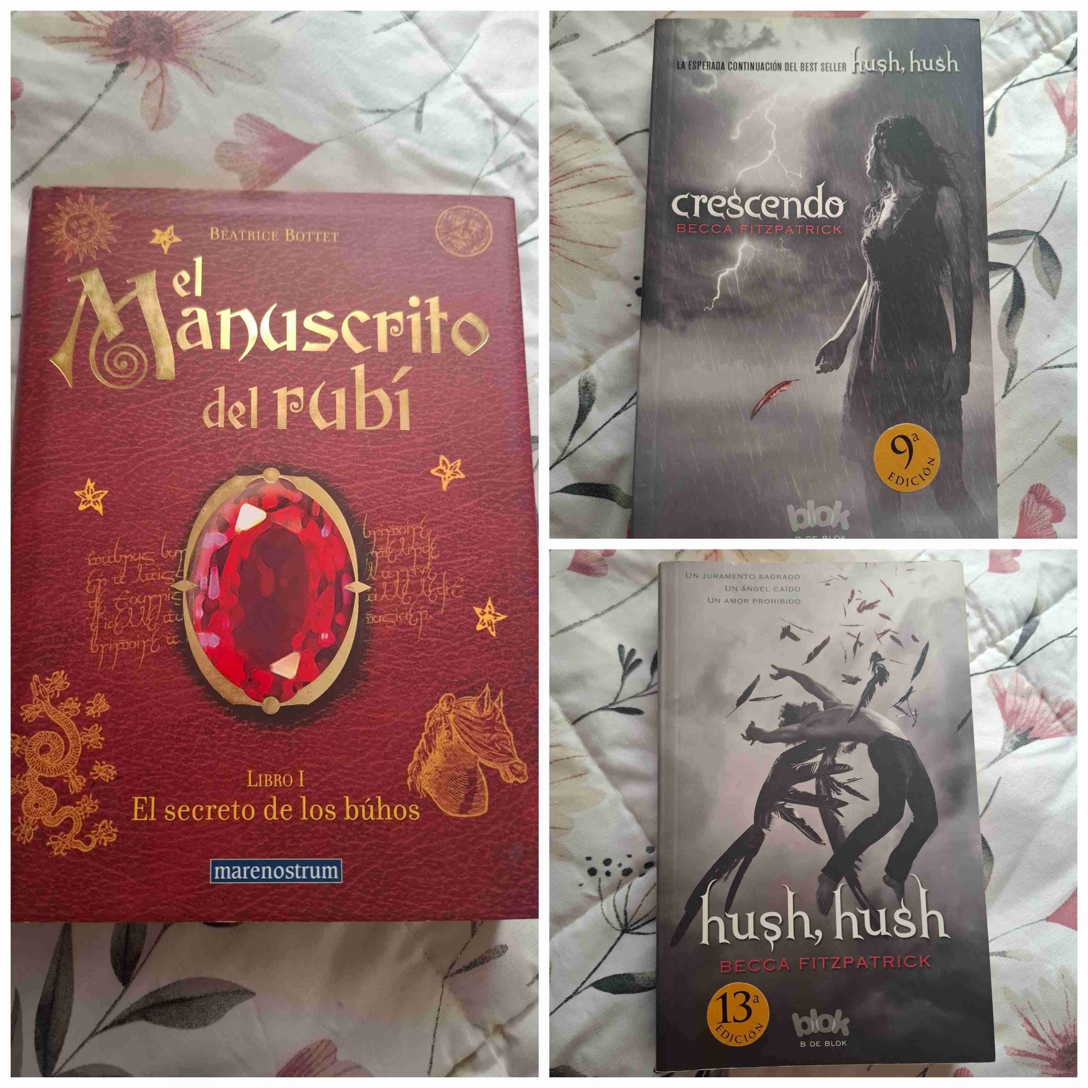 Libros variados (vendo o permuto)Leer Descripción - miniatura 4