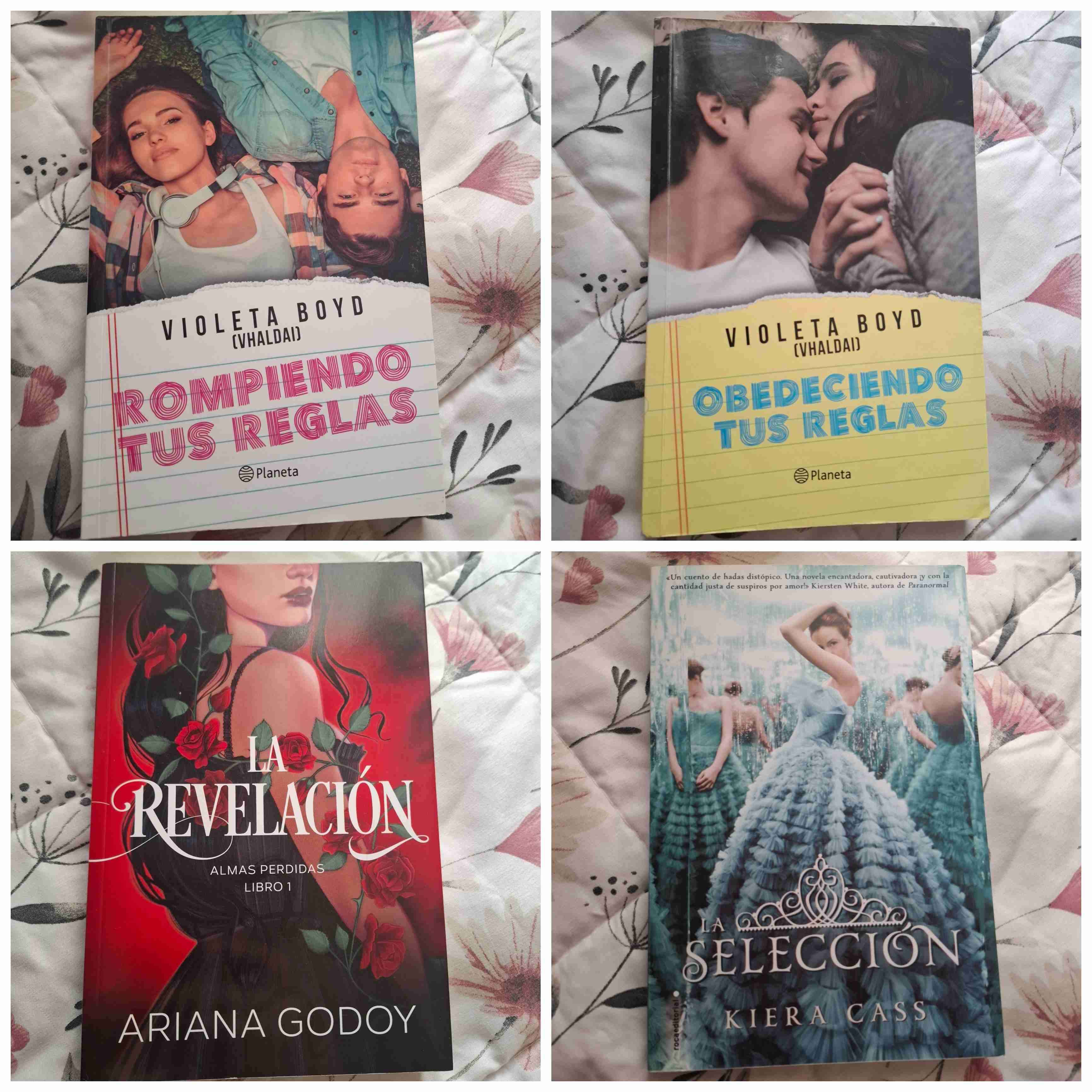 Libros variados (vendo o permuto)Leer Descripción - miniatura 5