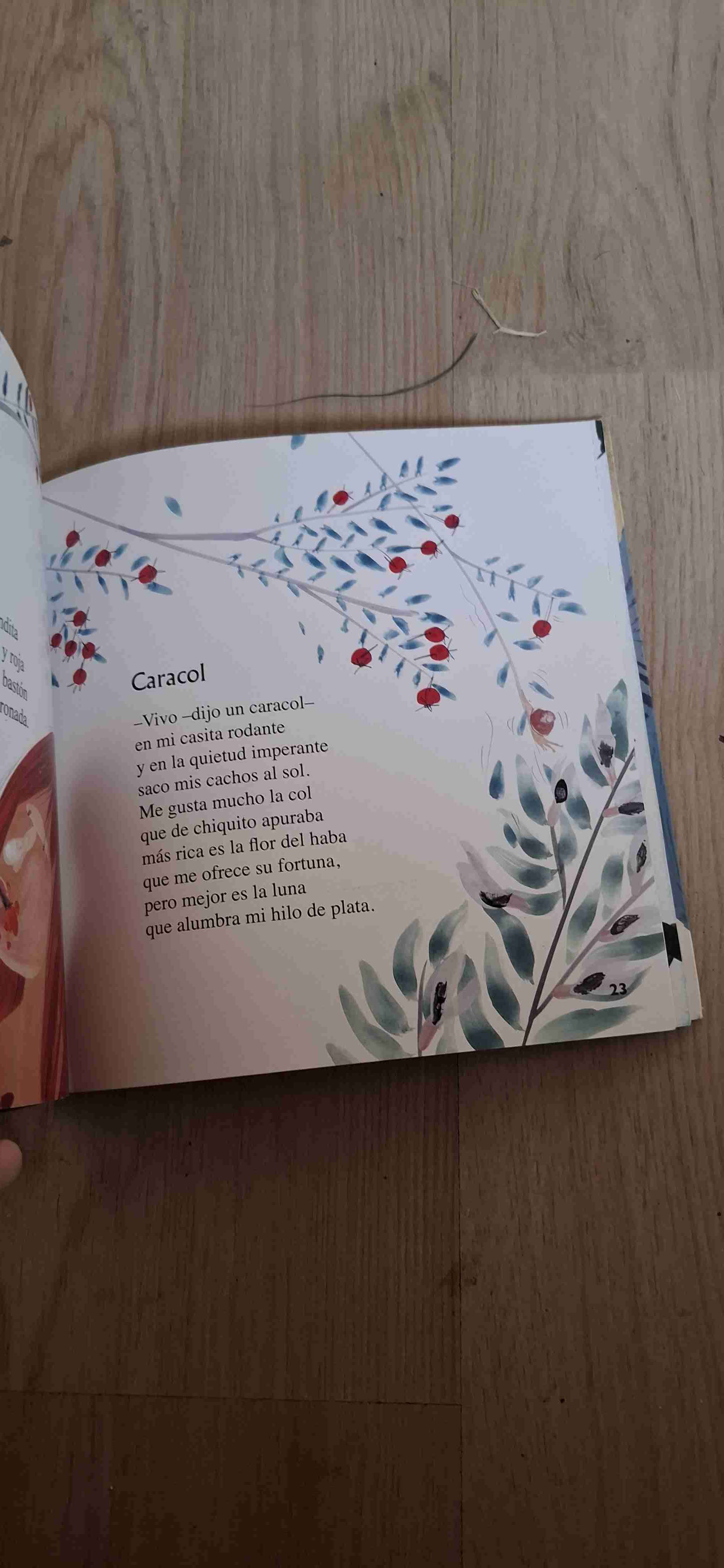 Libro infantil ¿Quién salpicó a la chinita? - miniatura 2