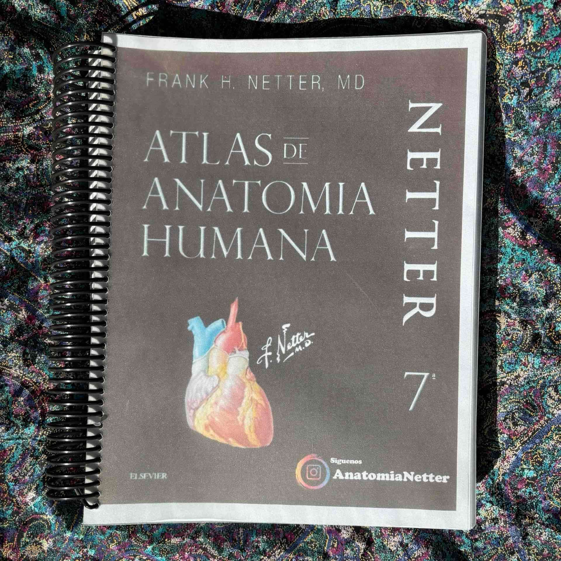 Atlas de Anatomía Humana Netter 7ma Edición - miniatura 1