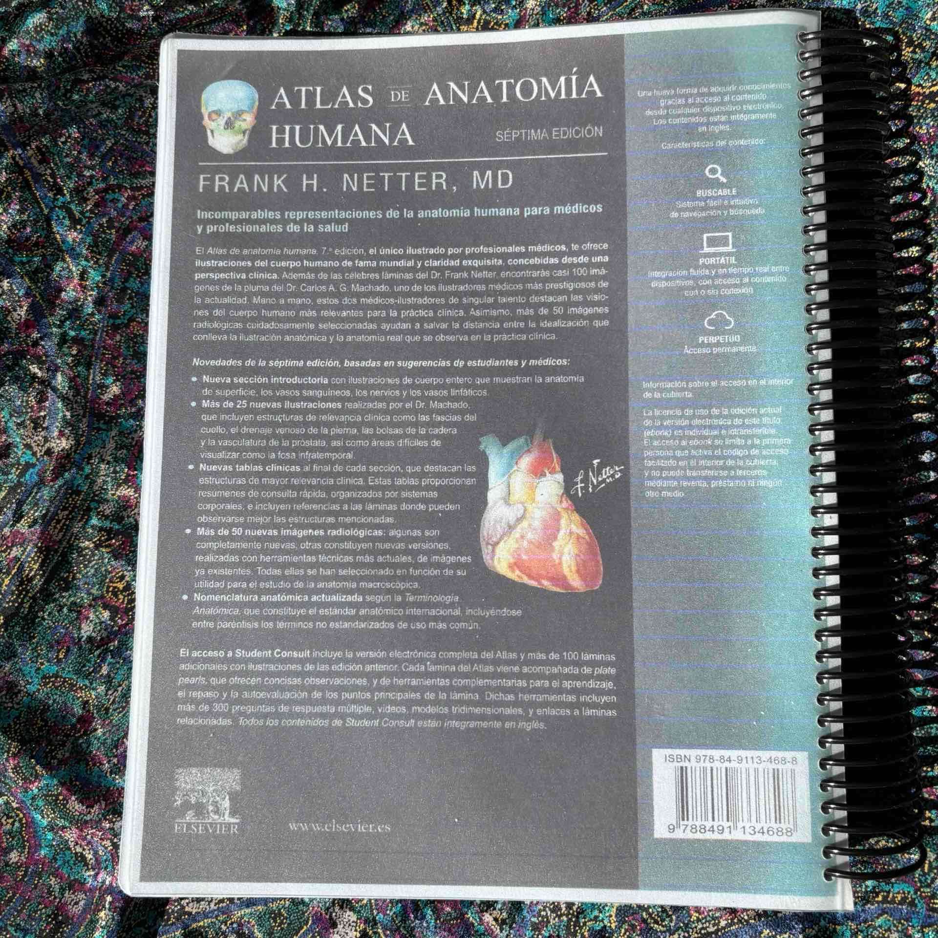 Atlas de Anatomía Humana Netter 7ma Edición - miniatura 2