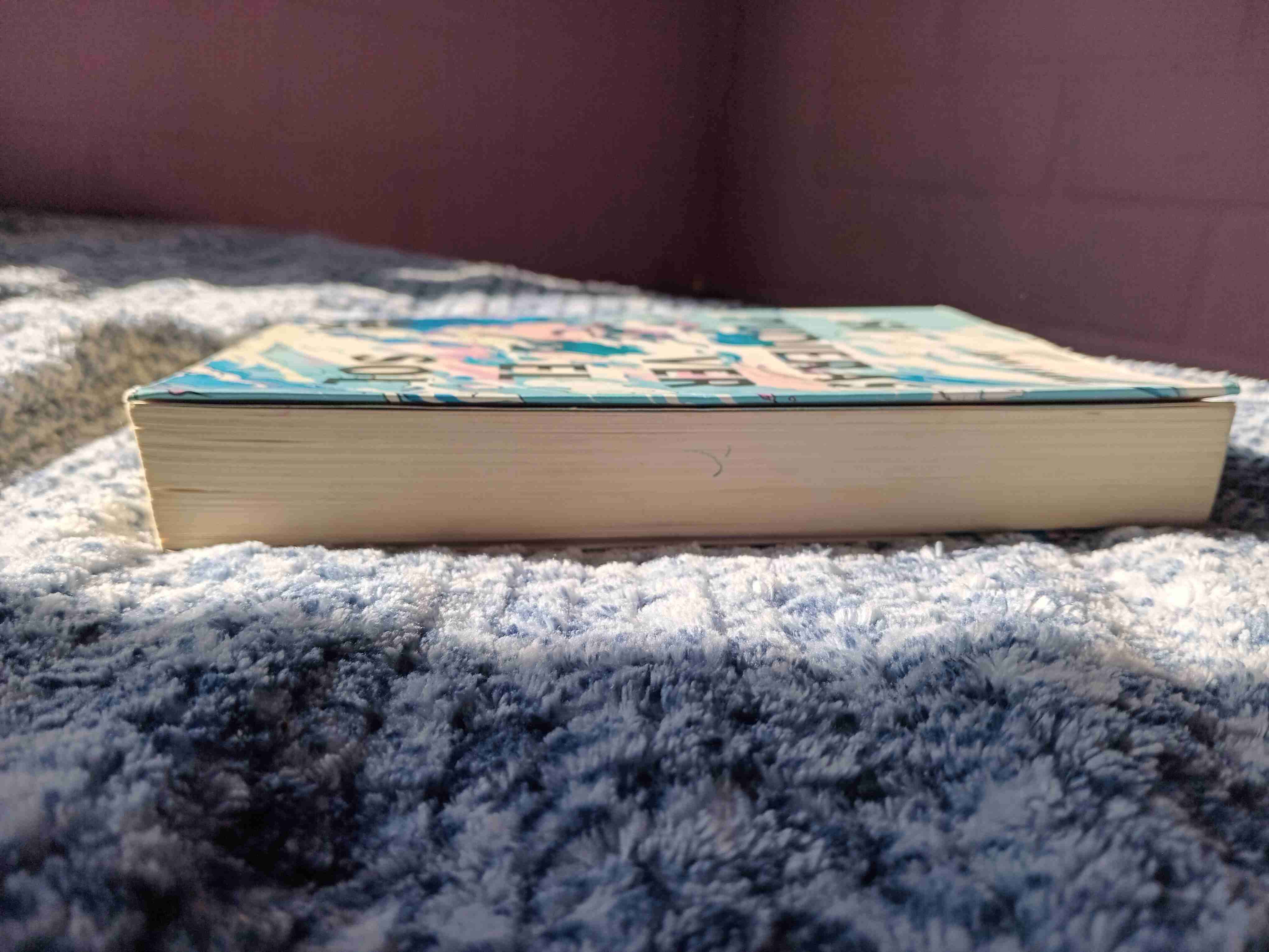 Libro 'Si Pudieras Ver el Sol' - miniatura 4