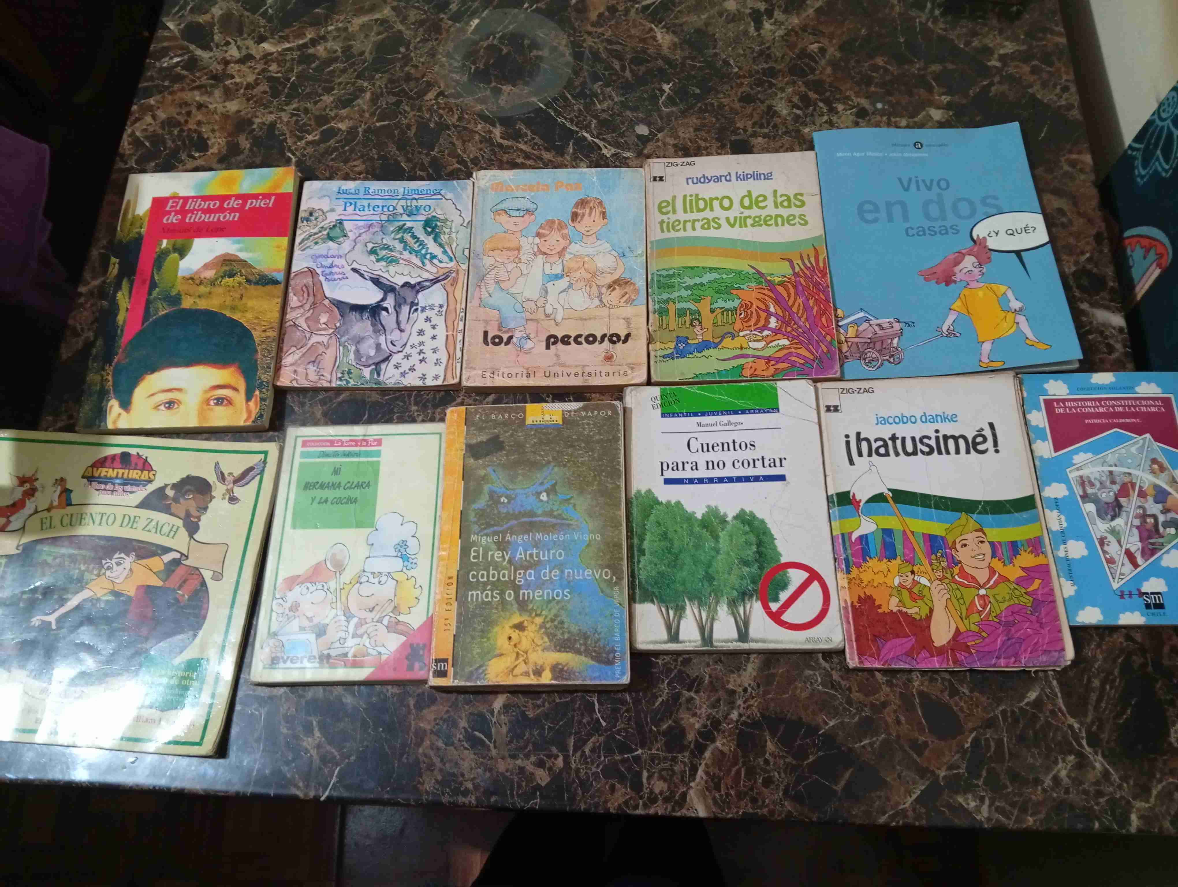 Lote de libros infantiles variados