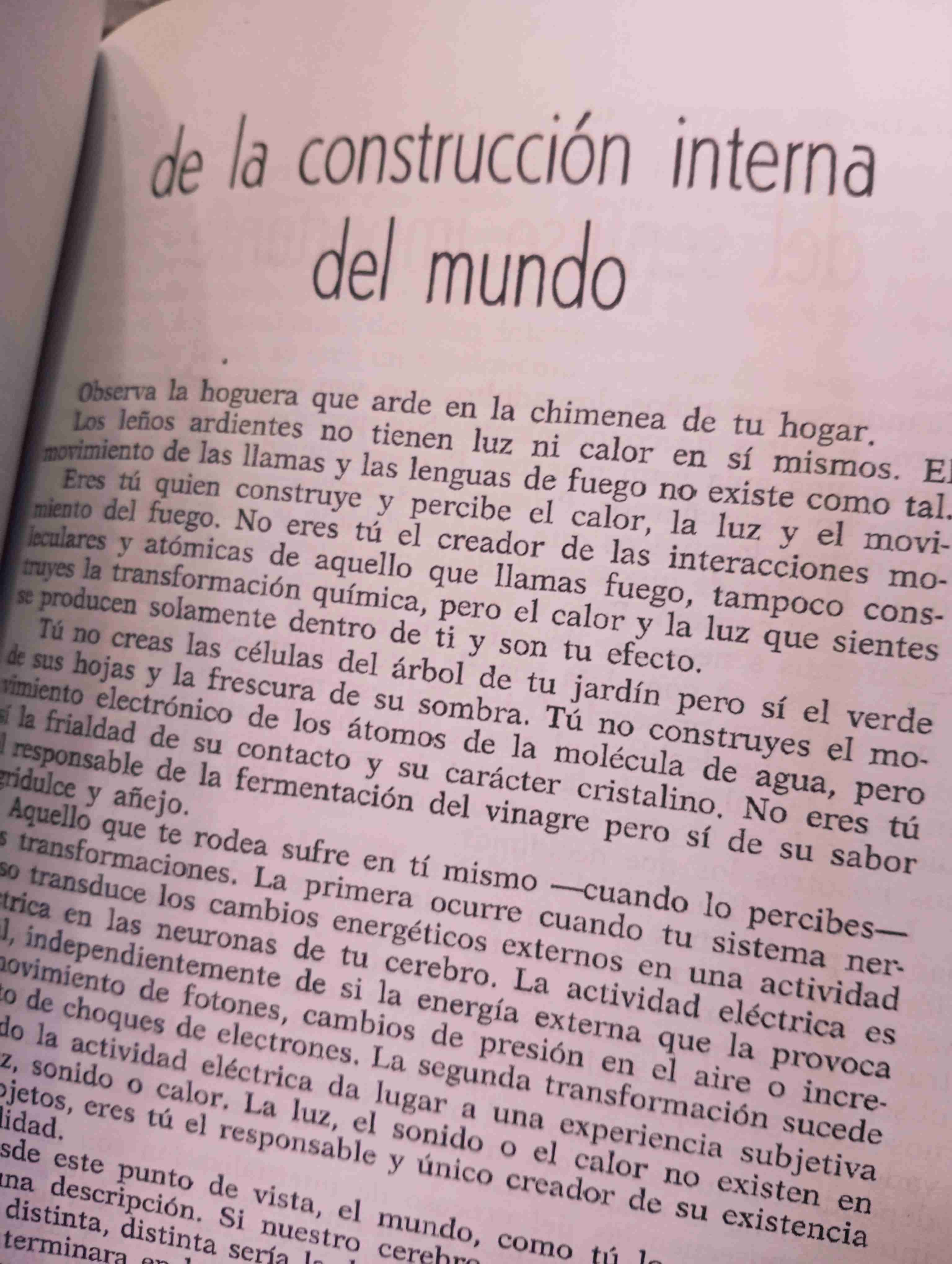 La construcción de la realidad / Jacobo Grinberg - miniatura 2
