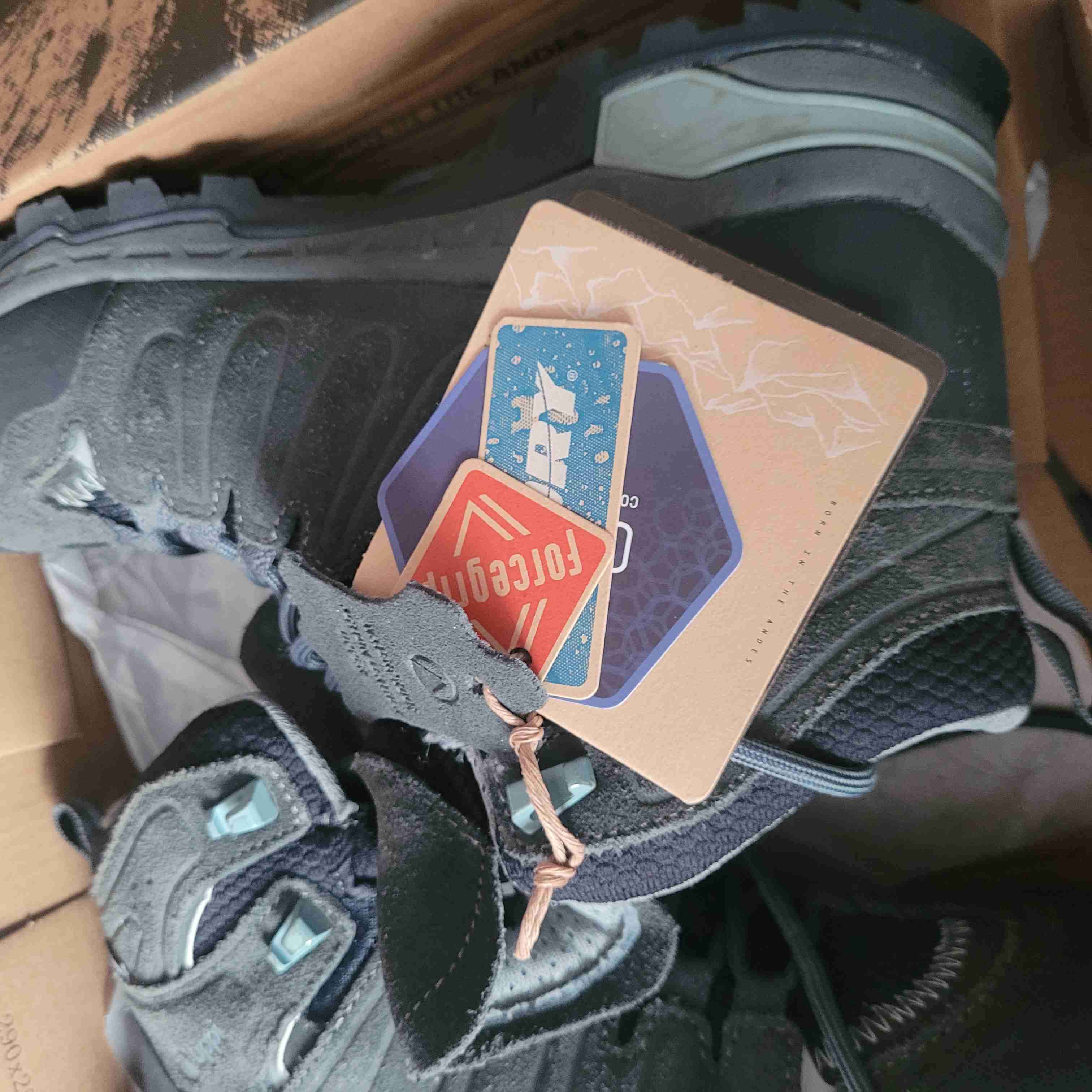 Zapatillas niños negras lippi - miniatura 3