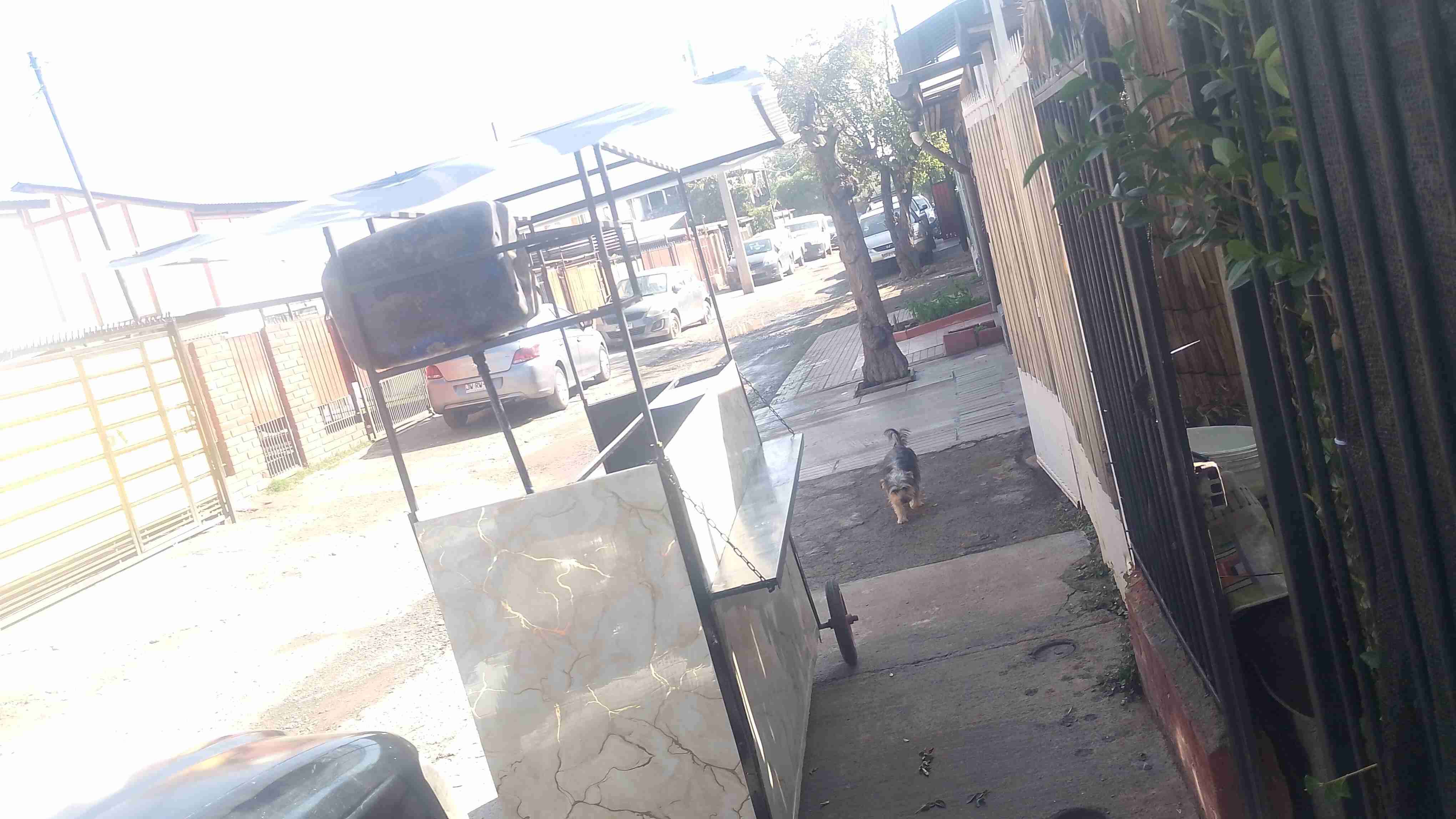 Carrito de comida rapida - miniatura 2