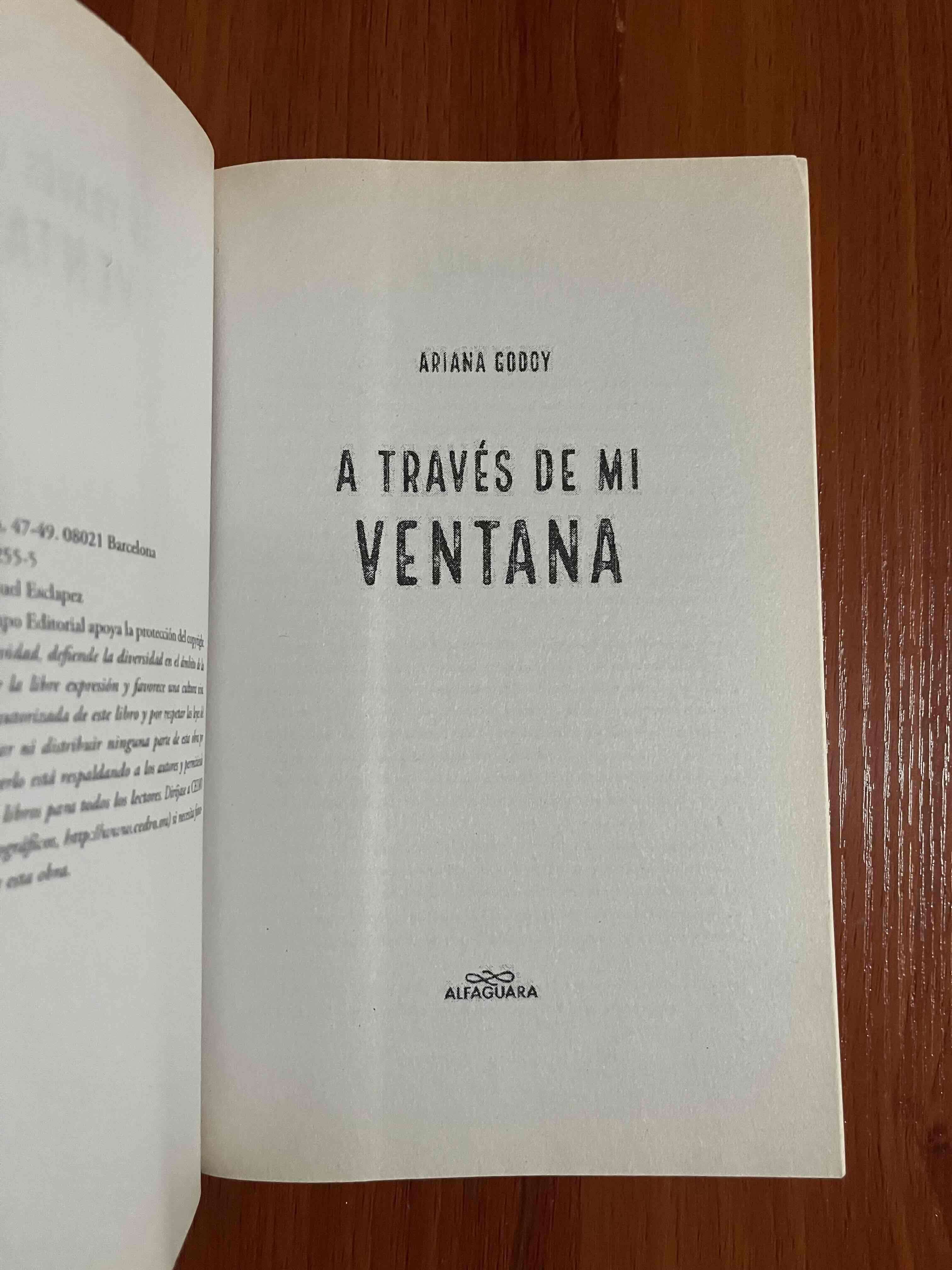 Libro 'A través de mi ventana' - miniatura 5