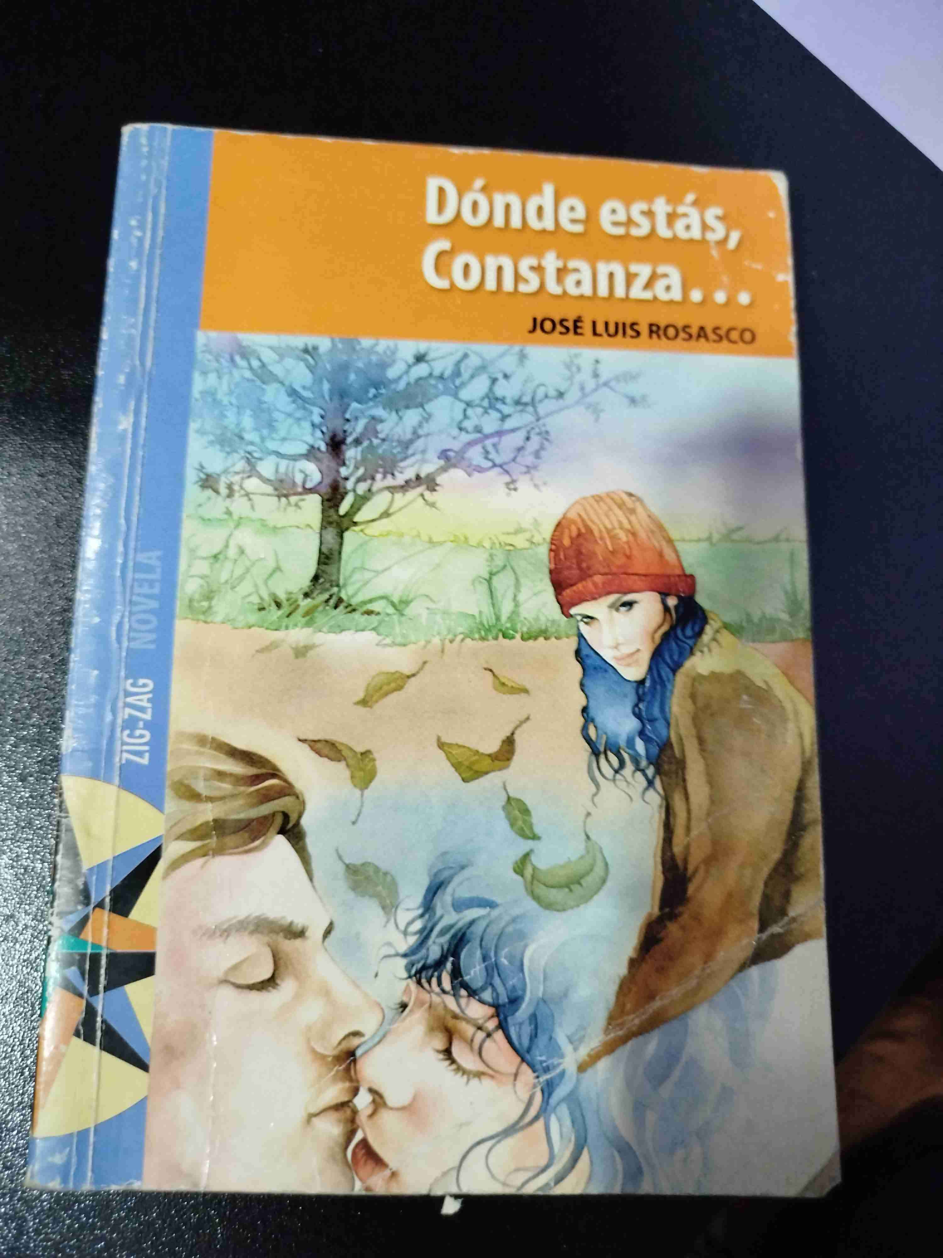 Libro 'Dónde estás, Constanza'