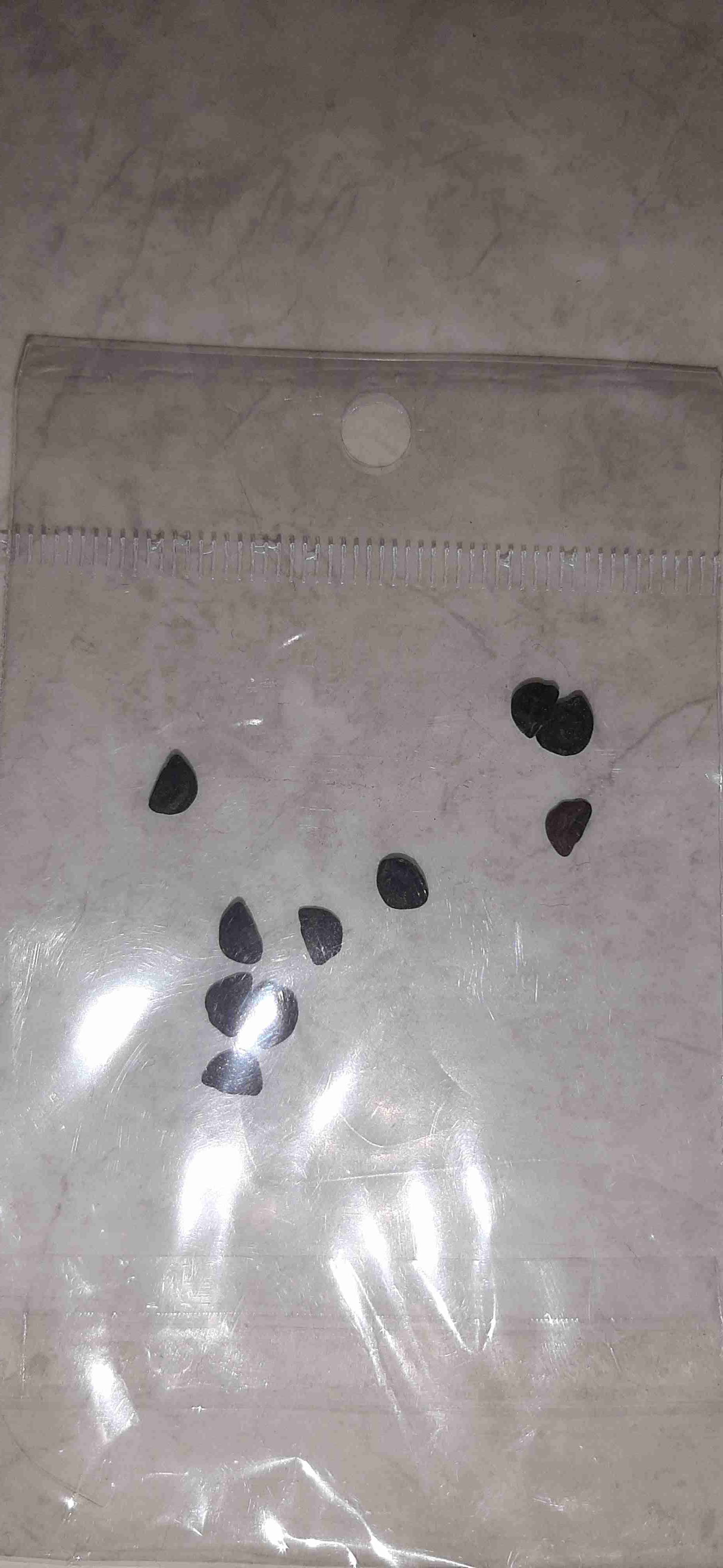 Semillas de Gloria de la mañana - miniatura 2