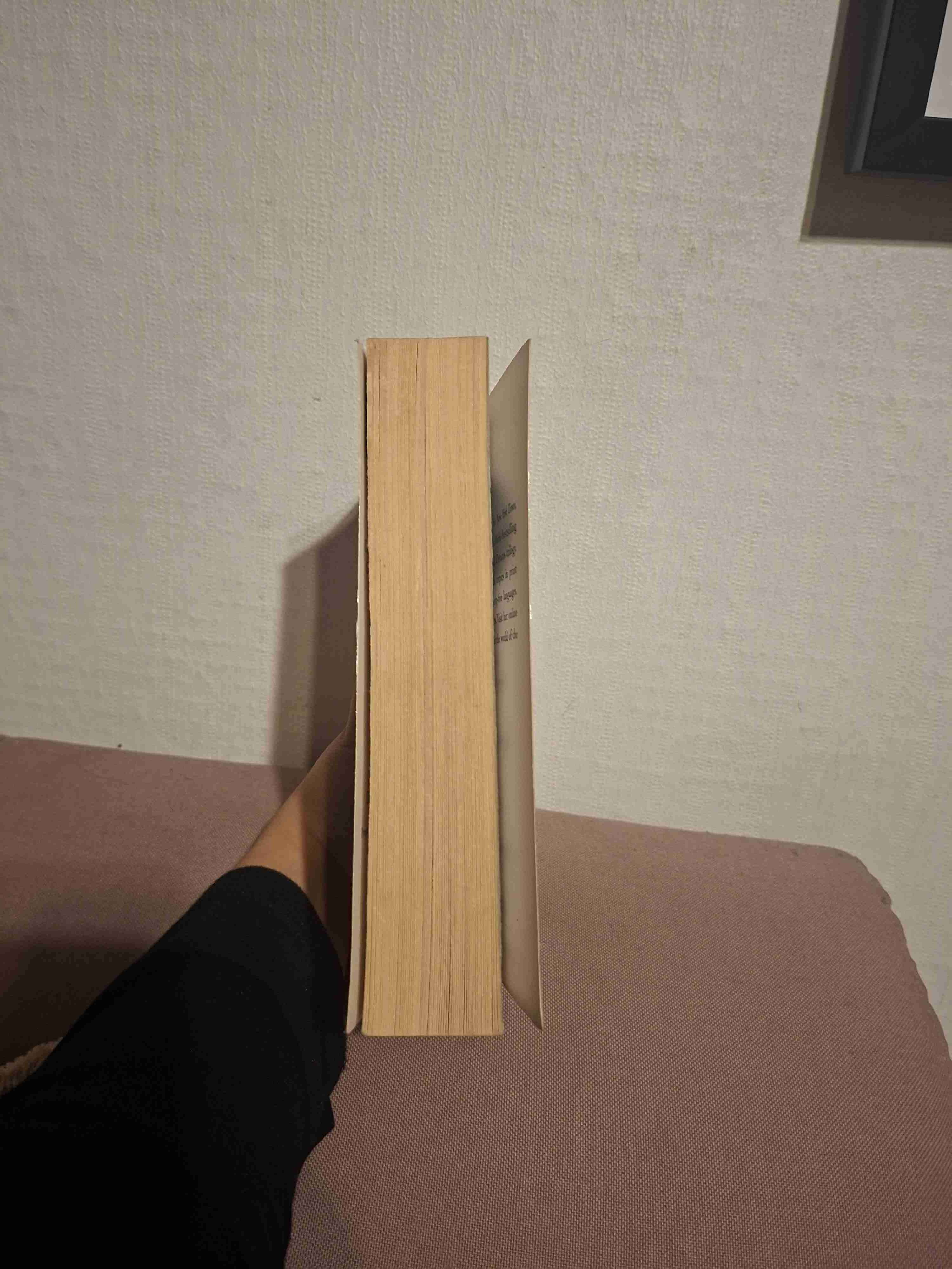 Libro City of Ashes - Cassandra Clare - miniatura 3