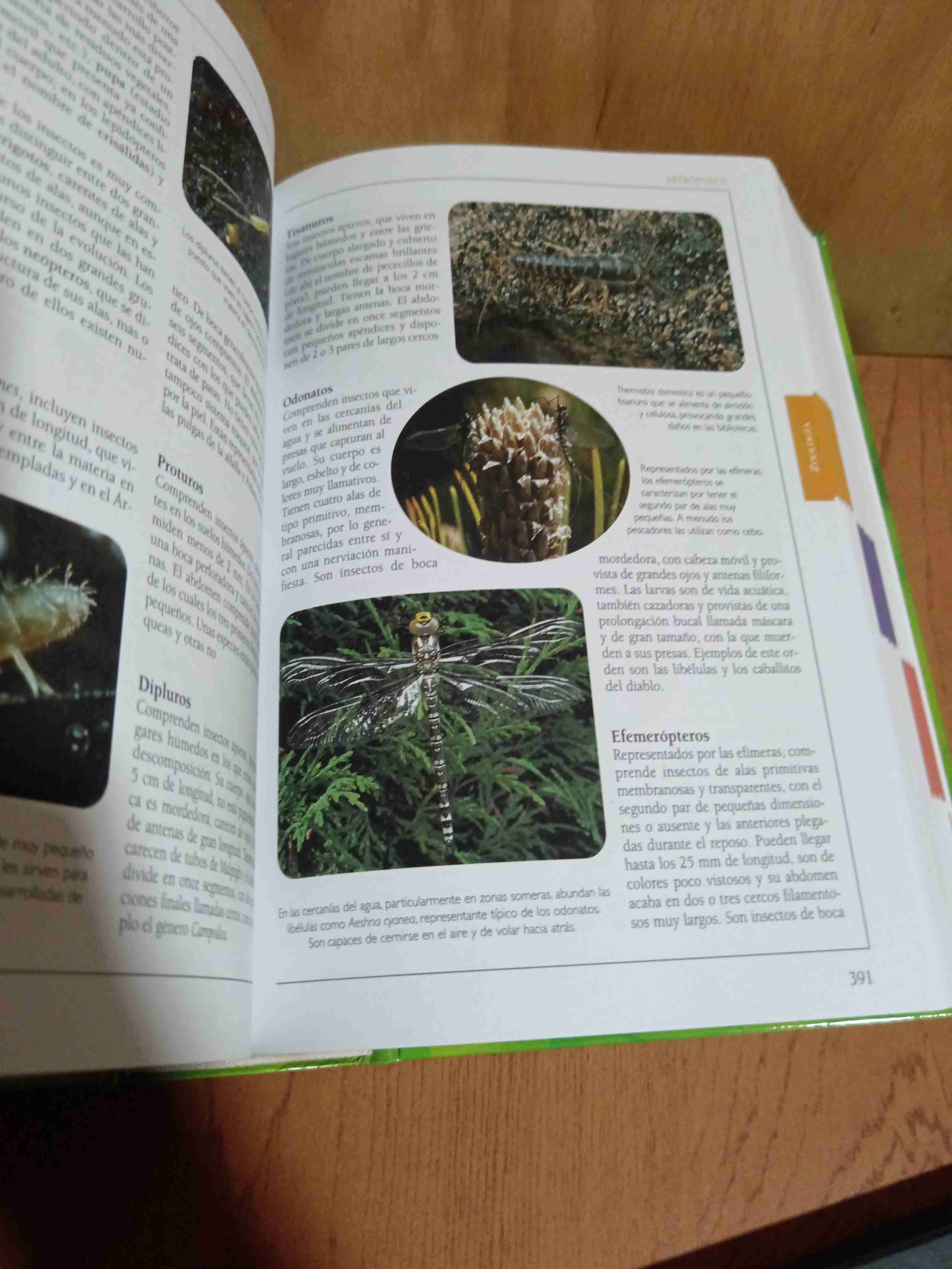 Libro Consultor Ciencias Naturales - miniatura 2