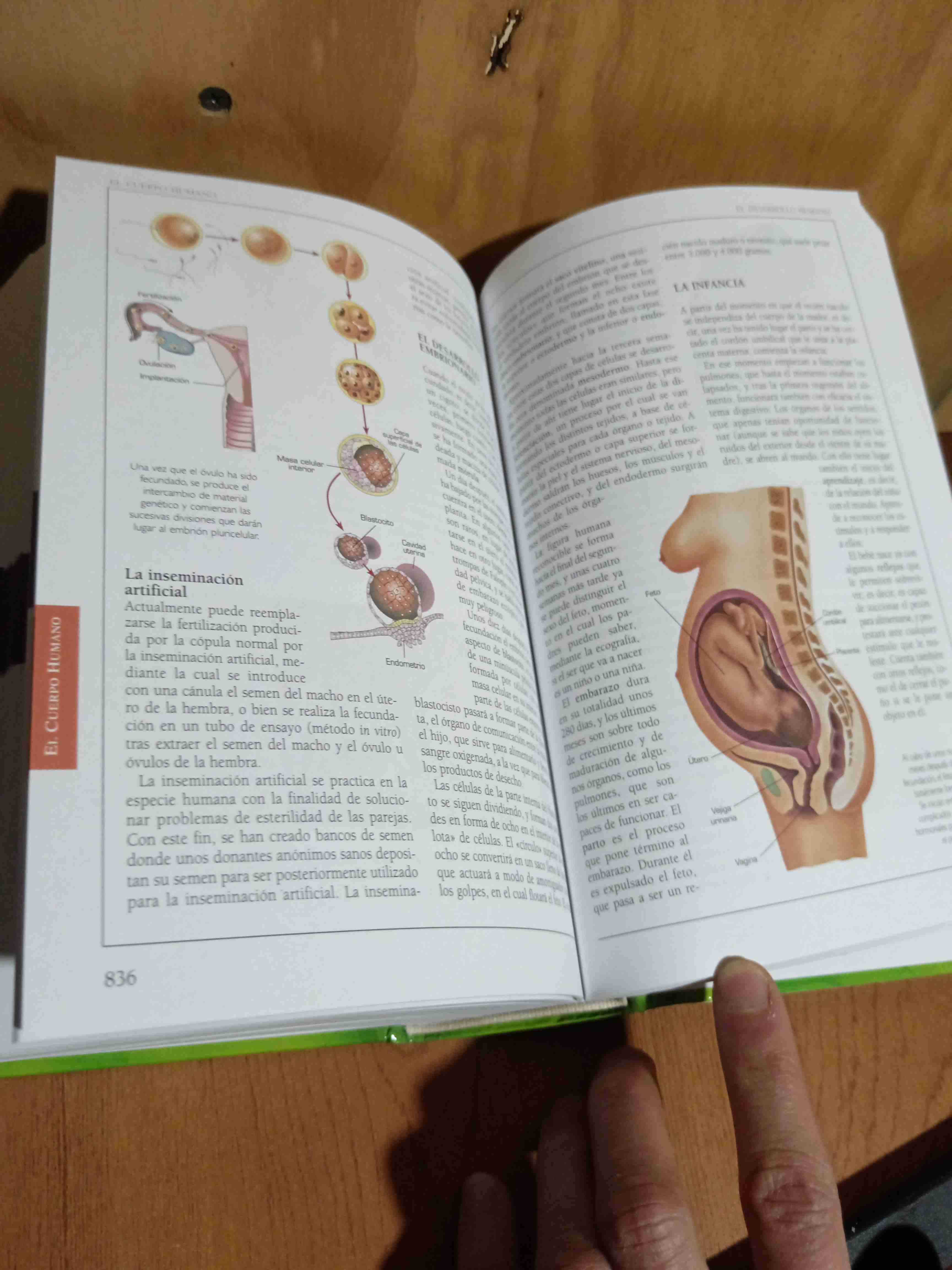 Libro Consultor Ciencias Naturales - miniatura 3